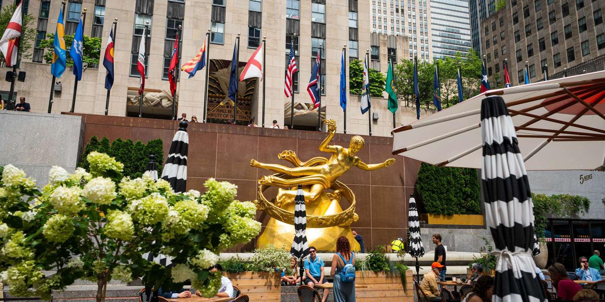 New York City Half-Day Bus Tour - Image 4