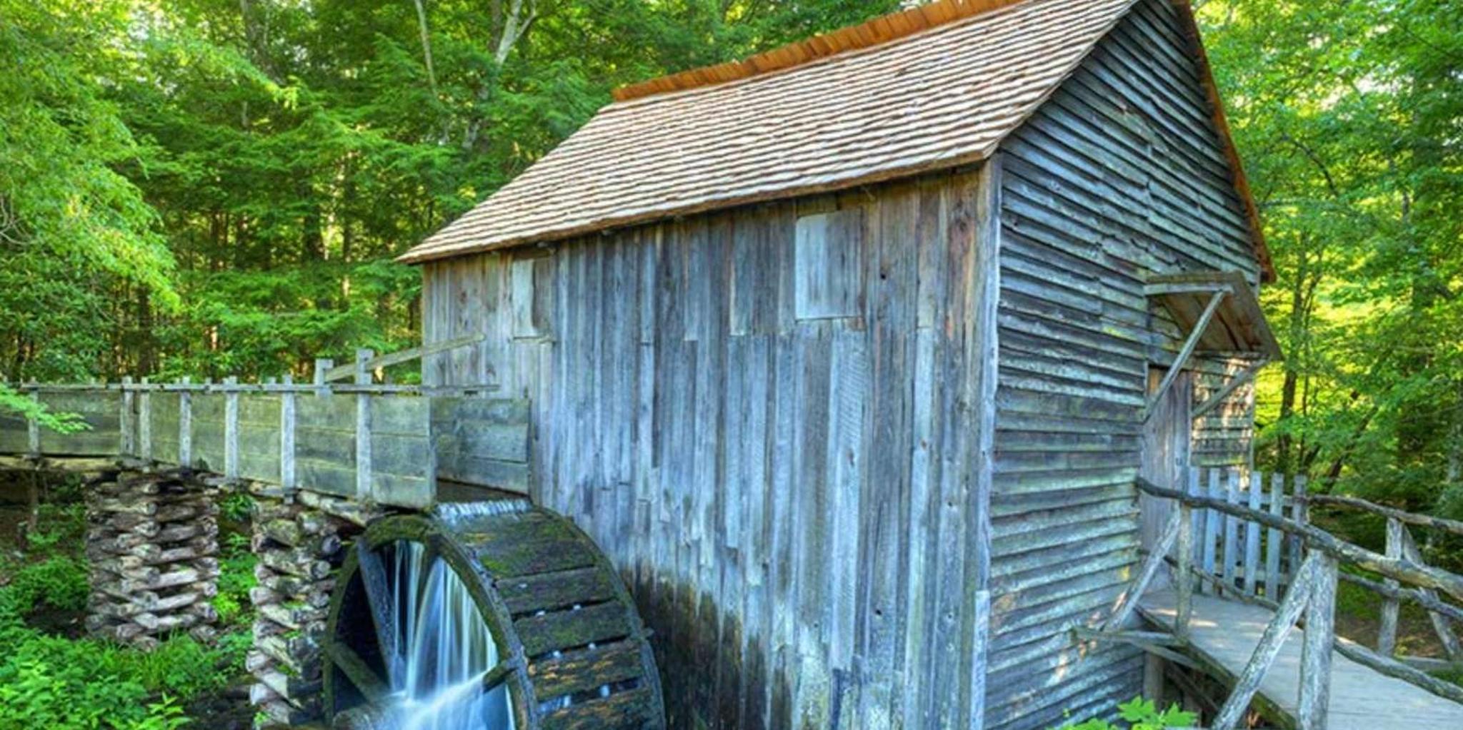 Pigeon Forge Cades Cove Tour in a Panorama Van - Image 3