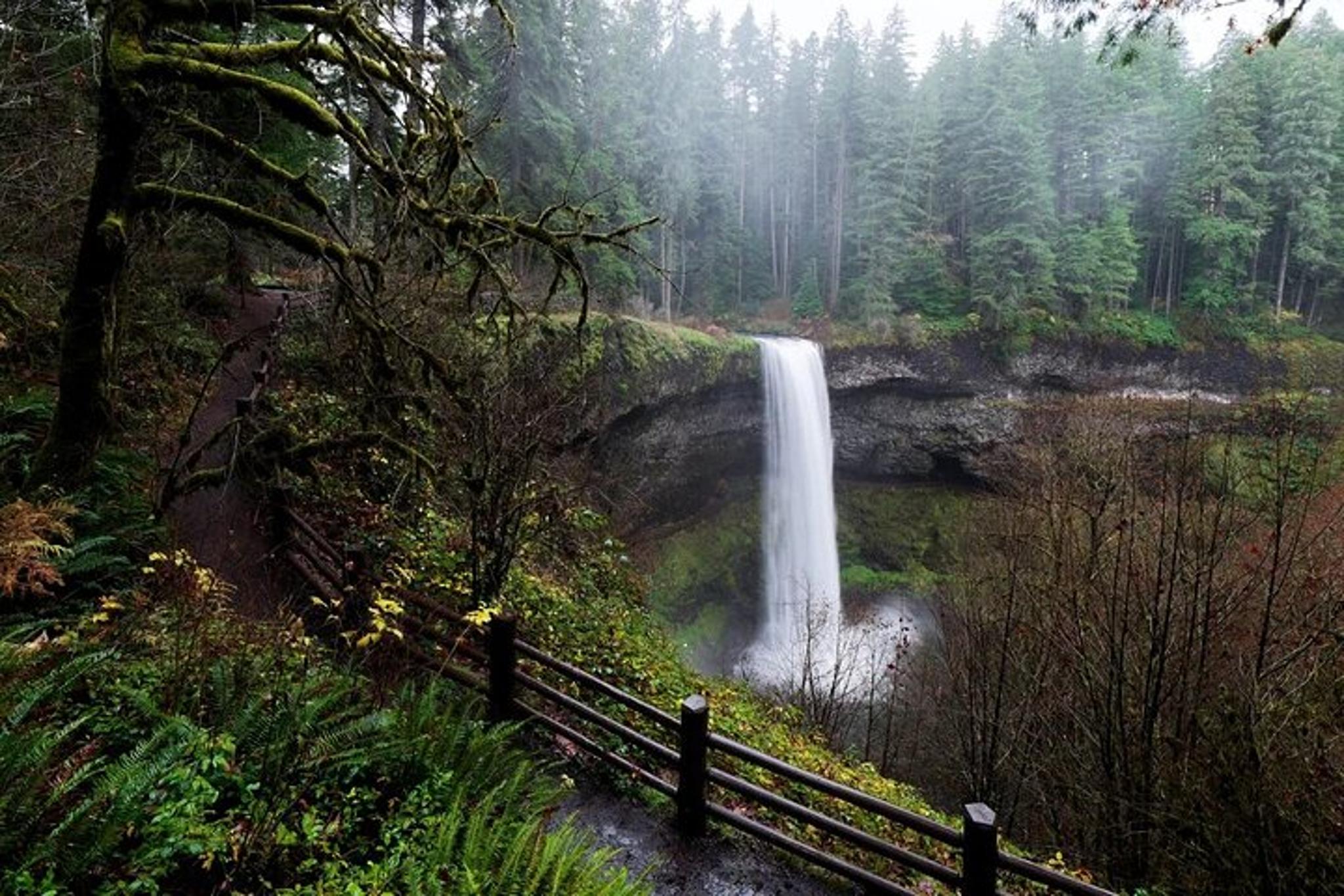 Silver Falls Private Hike Tour - Image 2