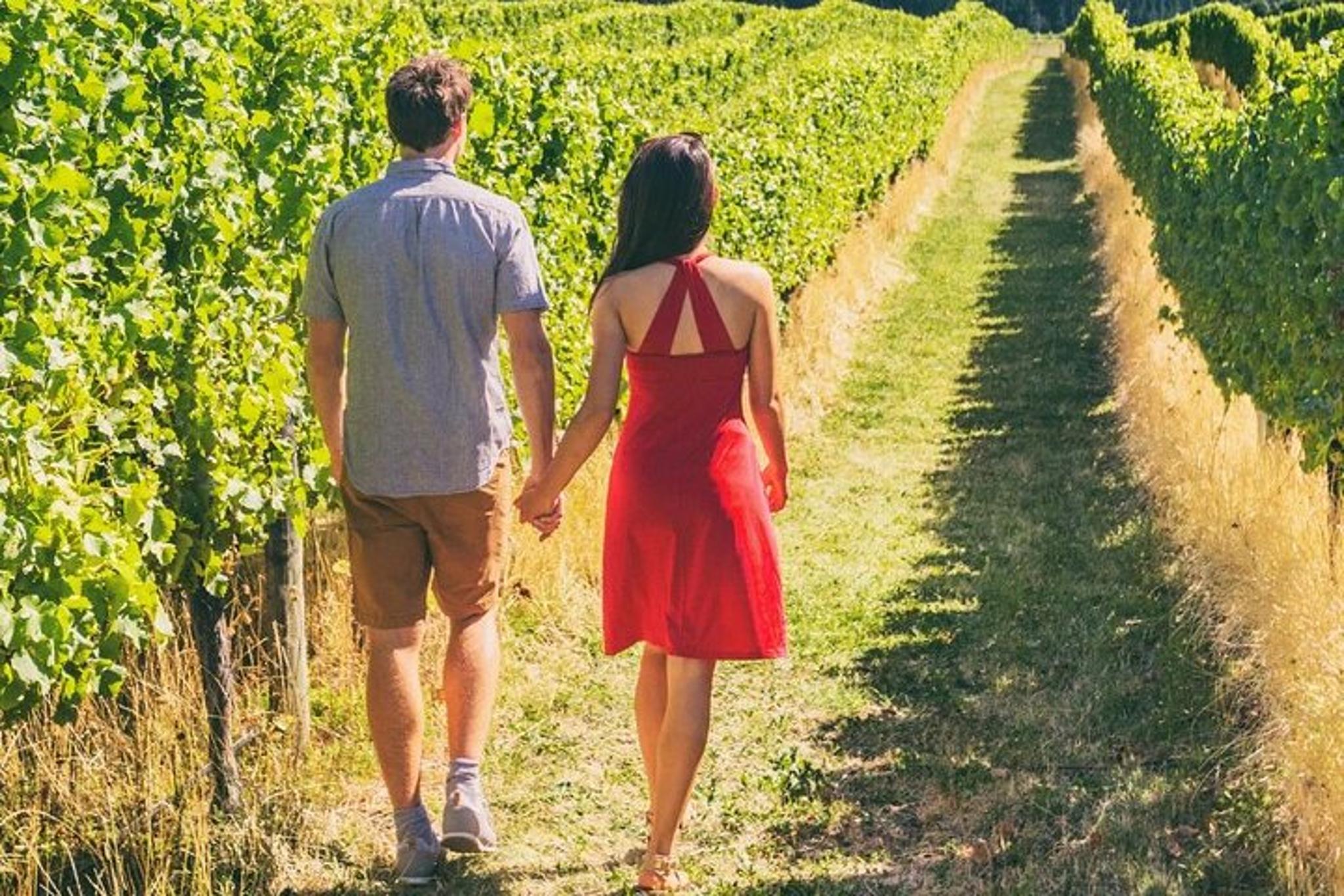 Napa Valley Wine Tour - Image 2