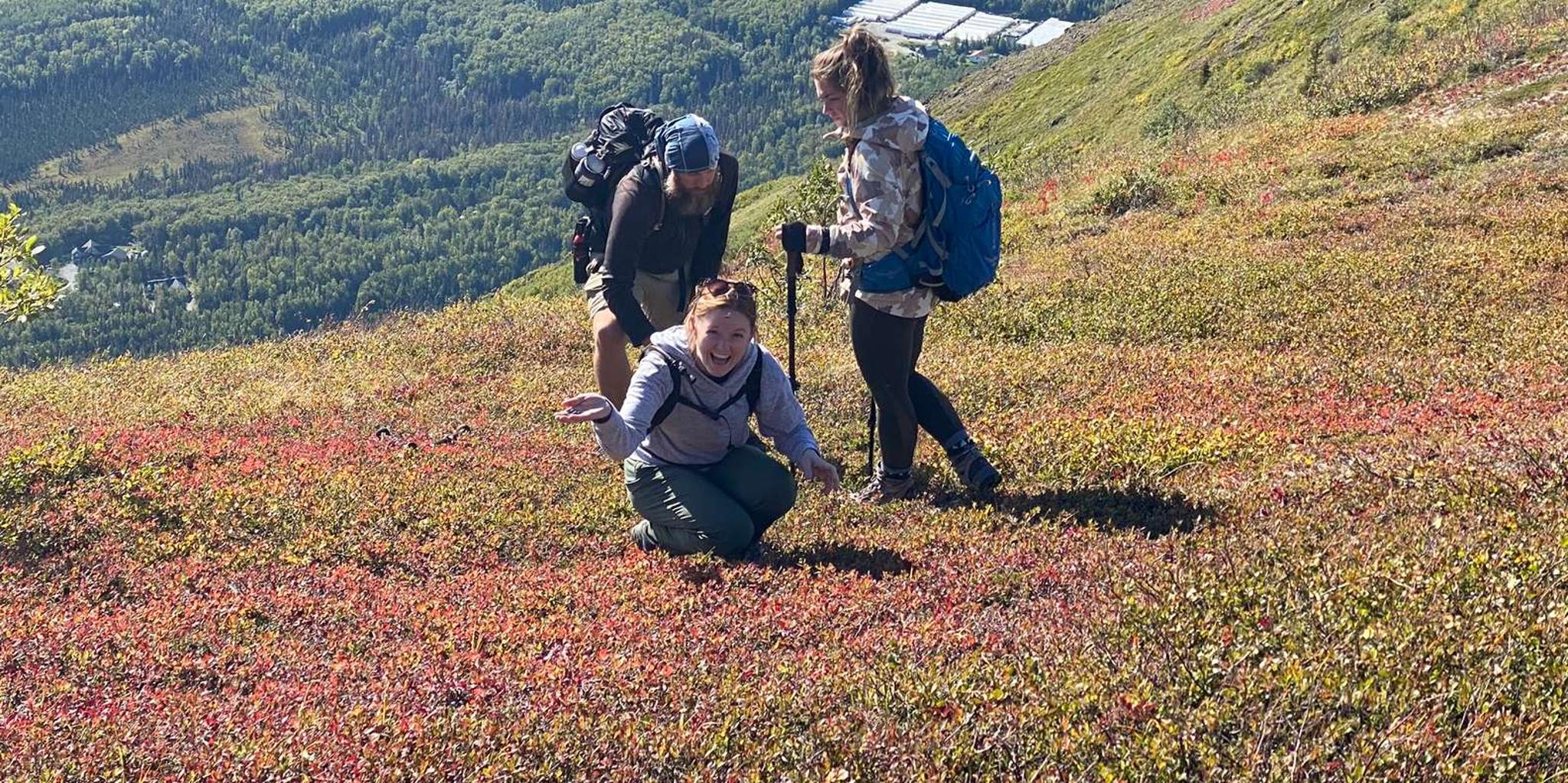 Anchorage Chugach State Park Alpine Trek - Image 3