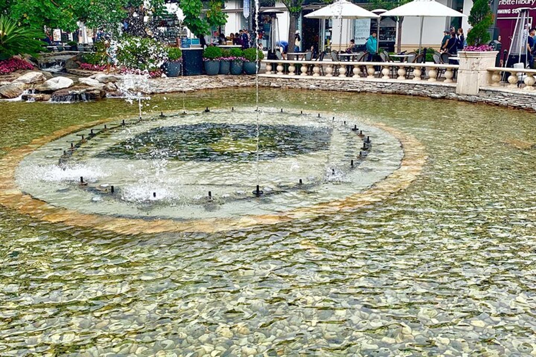 Los Angeles Hollywood and Griffith Park Tour from Anaheim - Image 4