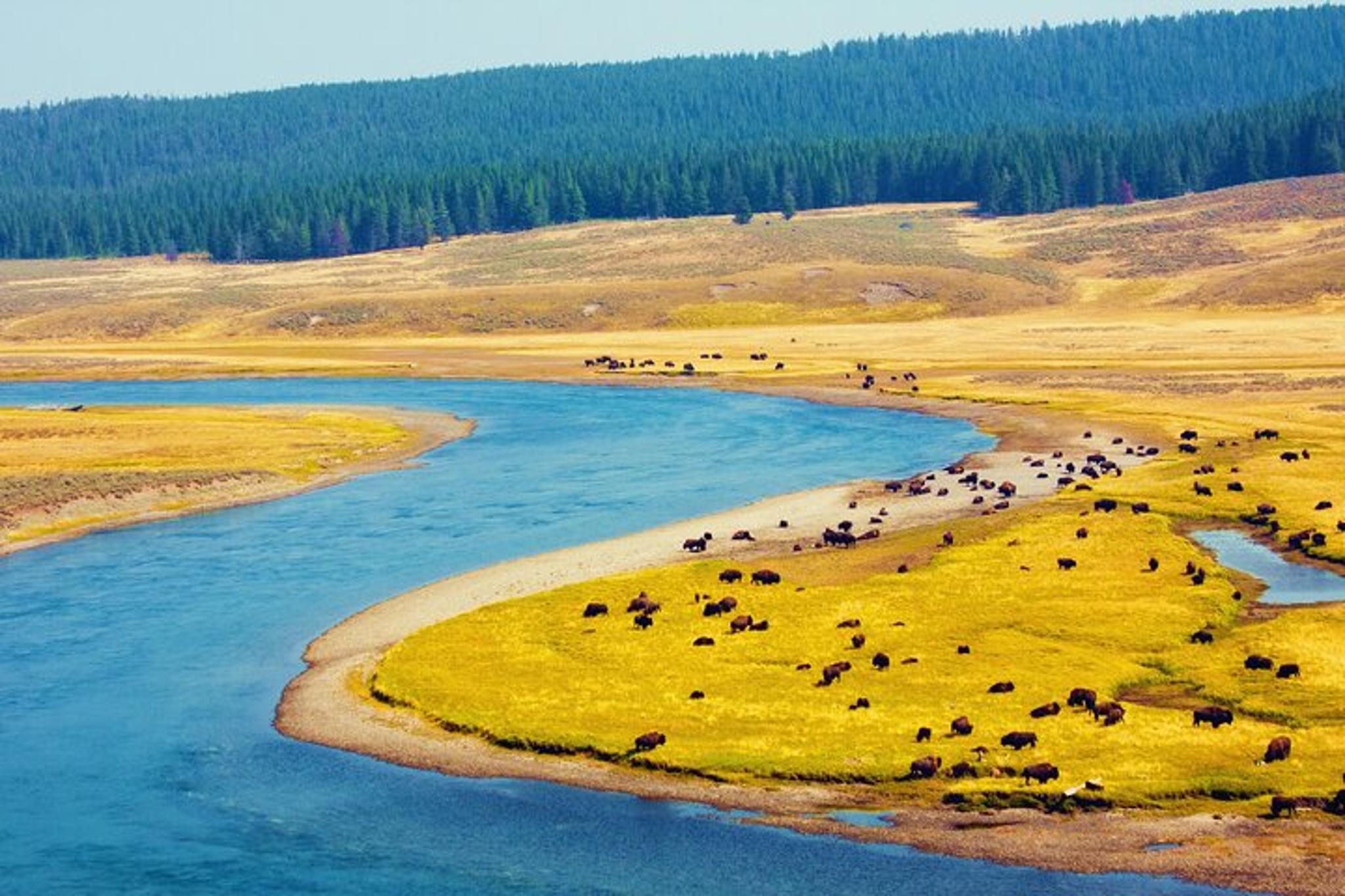 Yellowstone & Grand Teton National Parks Small Group Tour - Image 5