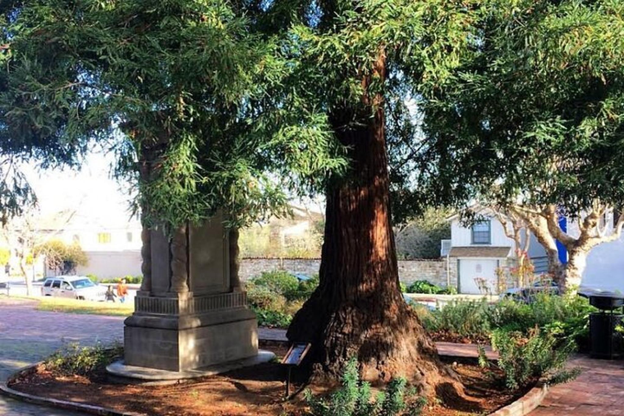 Monterey Scavenger Hunt Adventure - Image 6