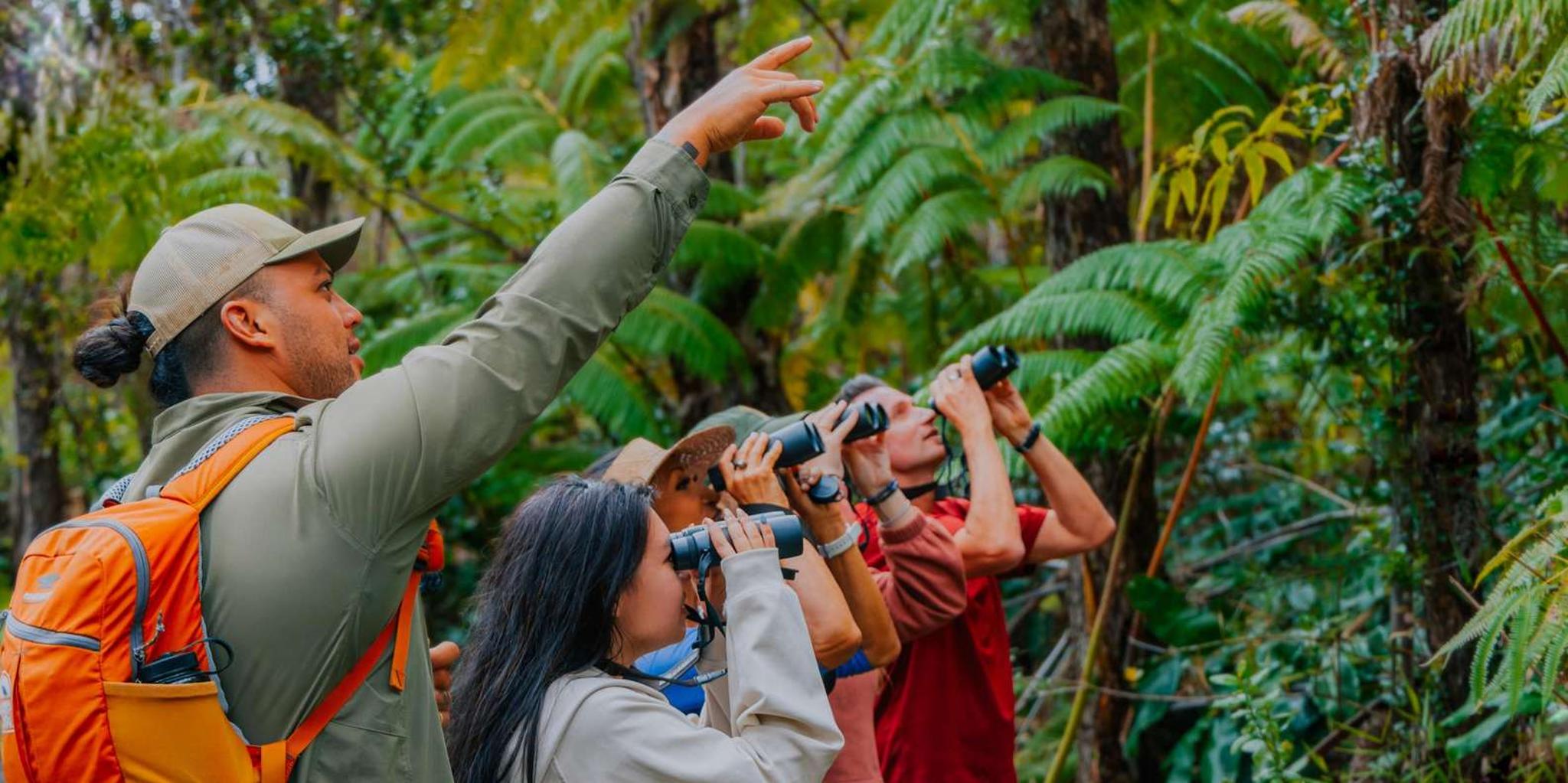 Big Island Bird Watching and Hiking Tour - Image 5