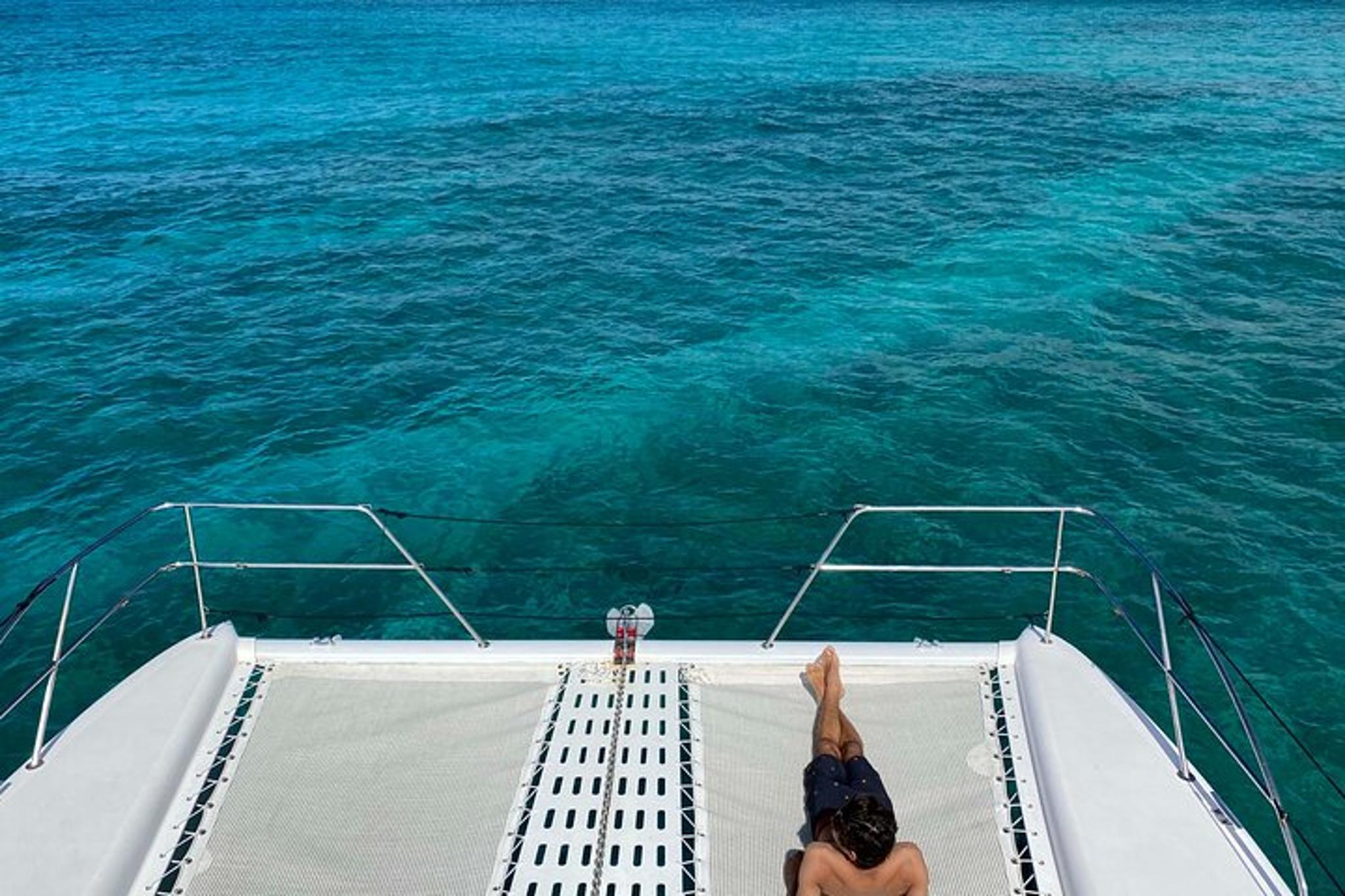 Honolulu Whale Watching and Coastal Swimming Tour - Image 6