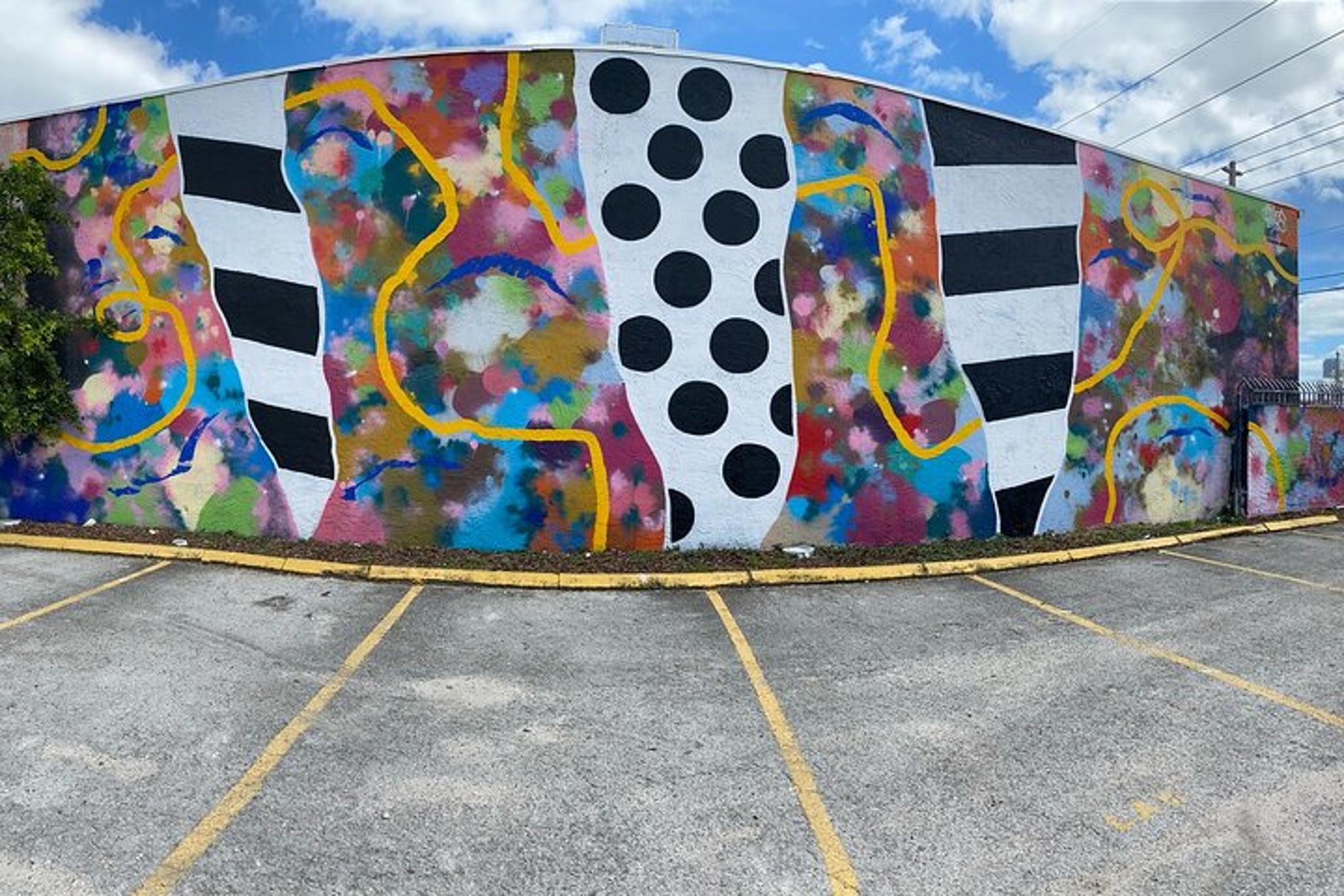 Miami Graffiti Tour in Wynwood 1 hr - Image 6