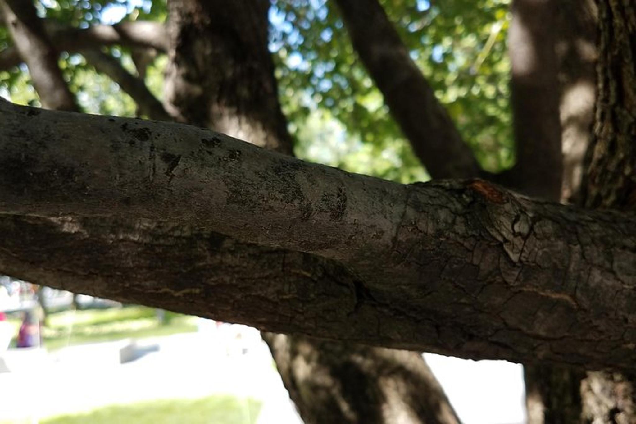 New York City World Trade Center Walking Tour - Image 5