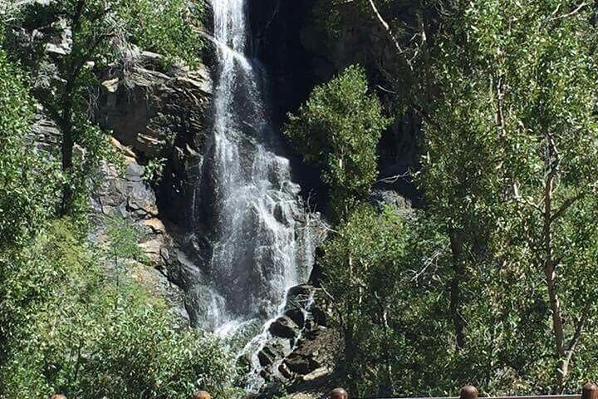 Spearfish Canyon and Deadwood Tour - Image 3