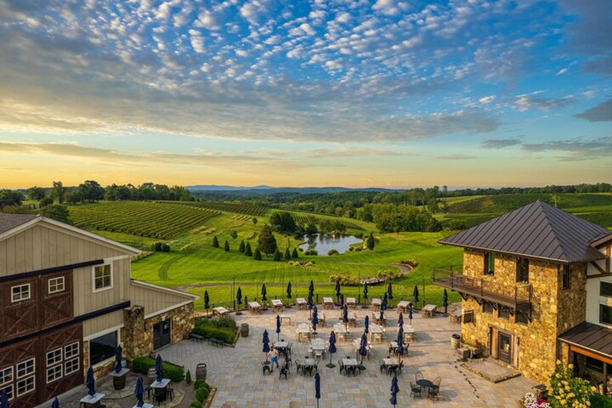 Washington DC Wine Tour to Loudoun County Vineyards