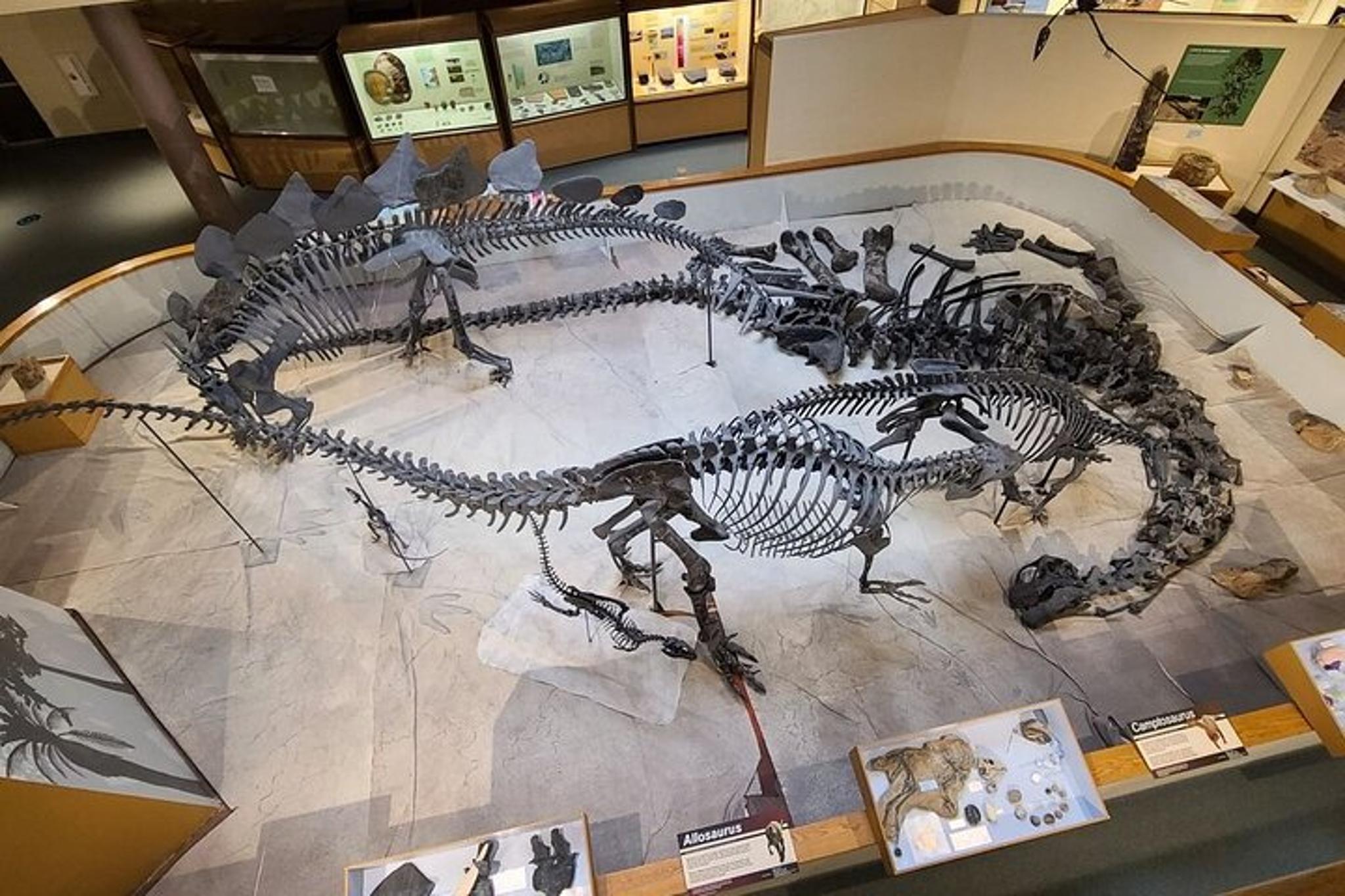 Utah & Arizona National Parks Small Group Tour - Image 4