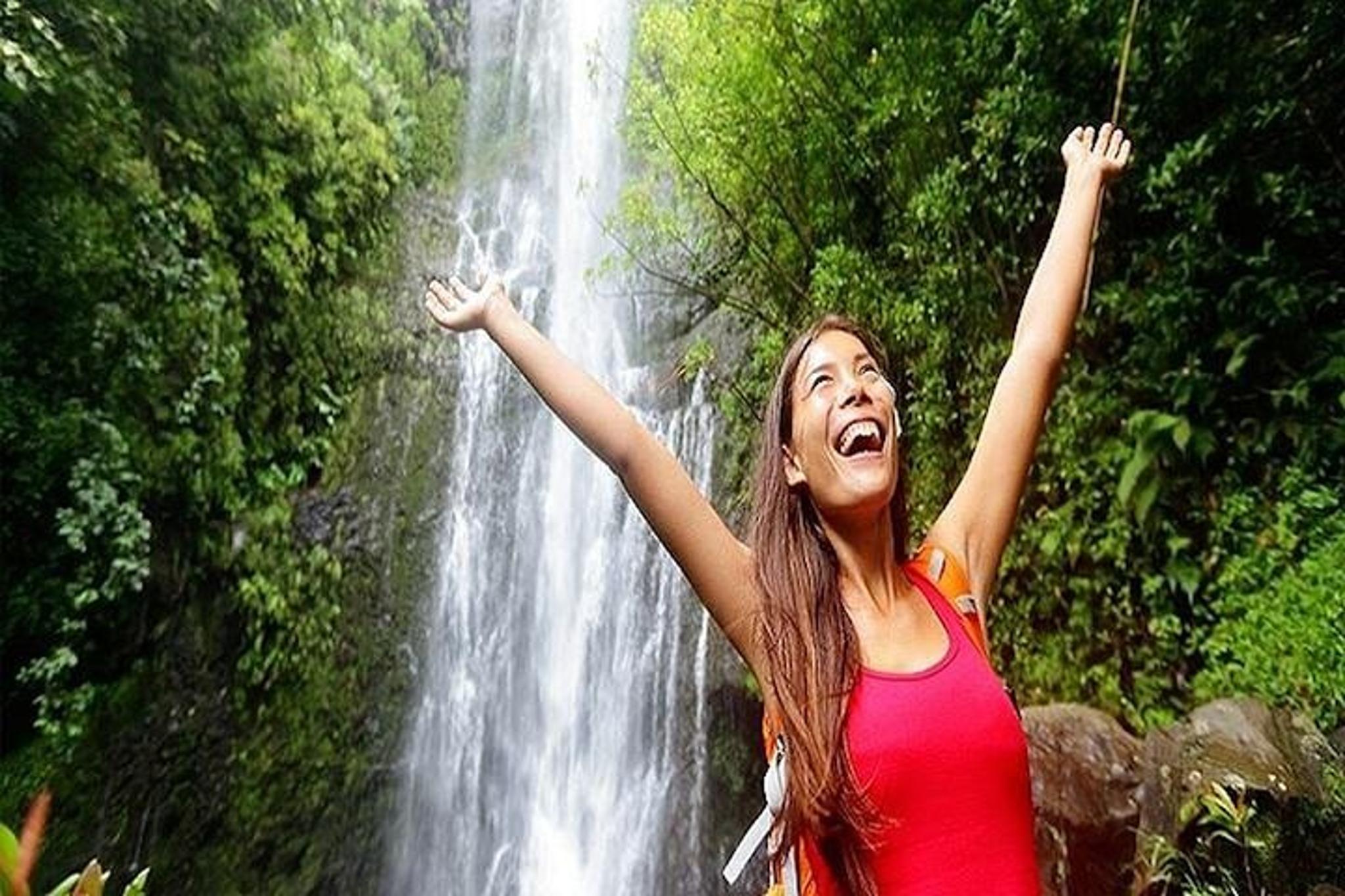 Maui Road to Hana Rainforest and Waterfall Tour - Image 5