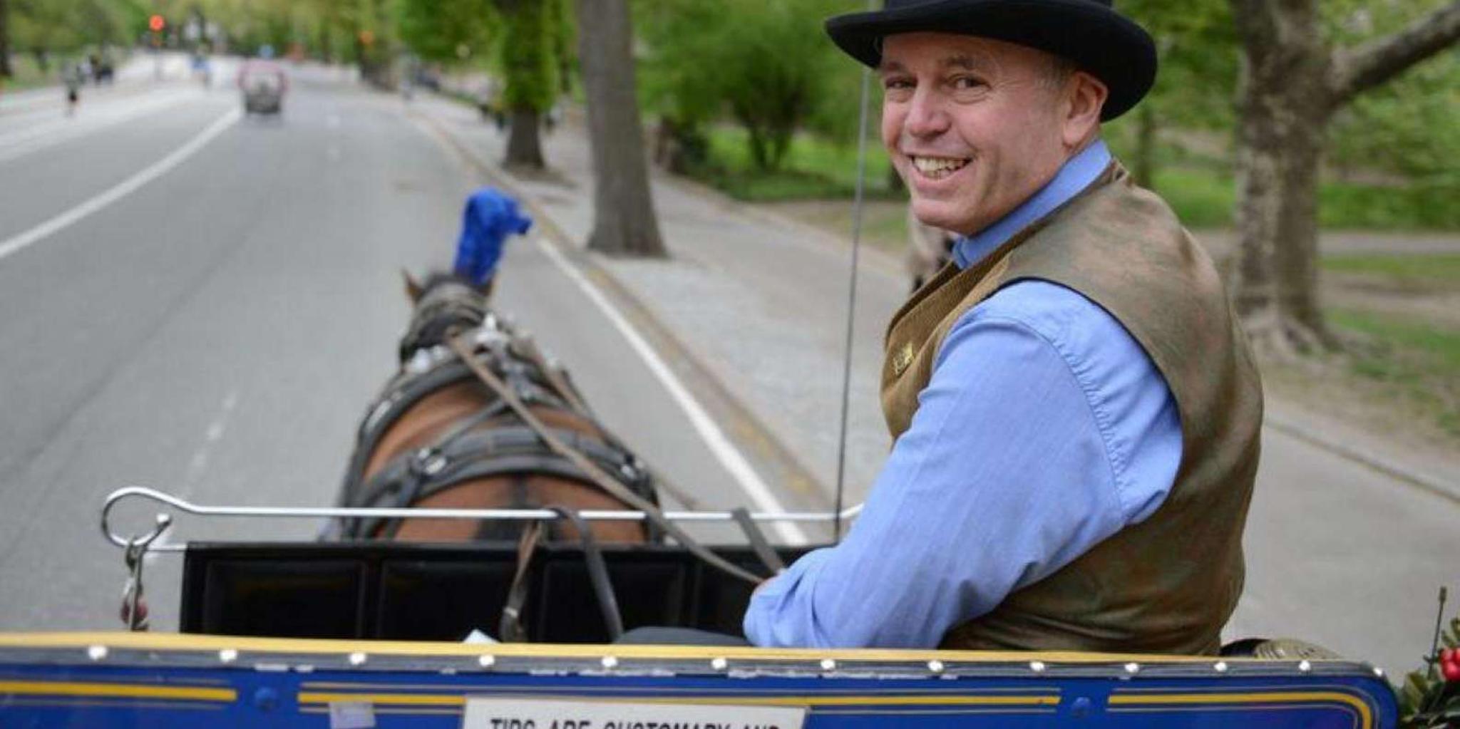New York Central Park Horse-Drawn Carriage Ride - Image 3