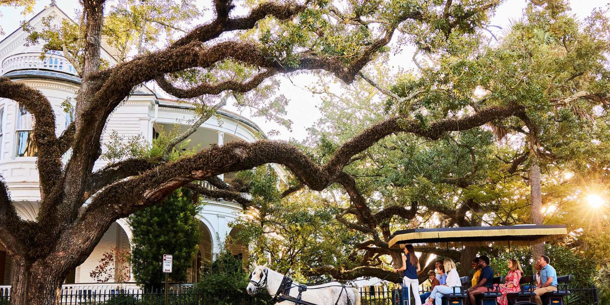 Charleston Horse-Drawn Carriage Tour