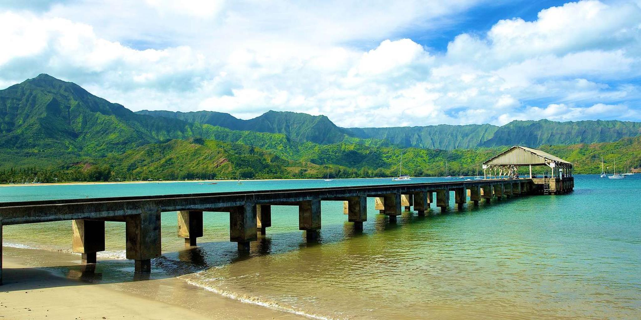 Kauai River Cruise and Lighthouse Tour - Image 6