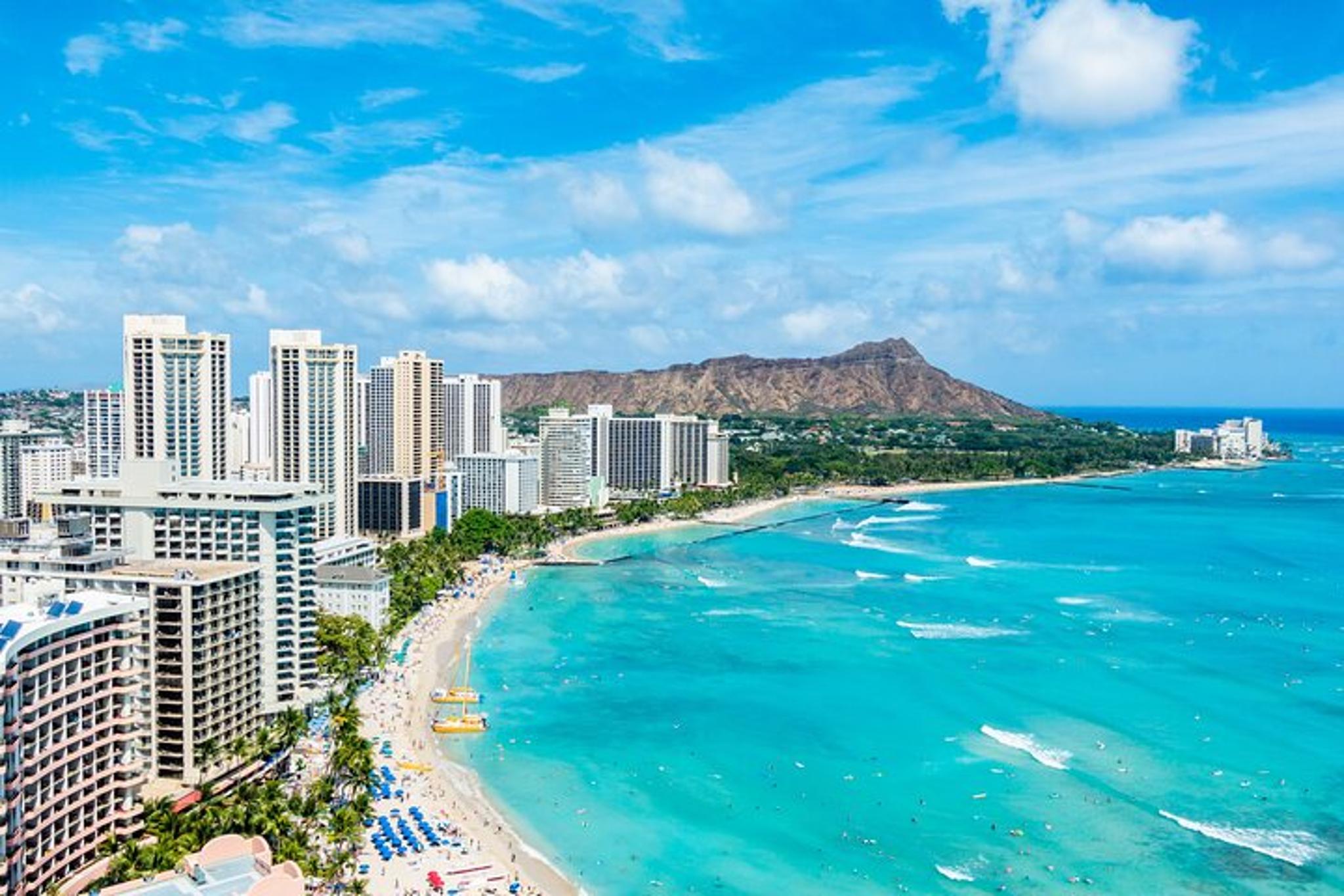 Waikiki Green Sea Turtle Snorkeling Tour - Image 5