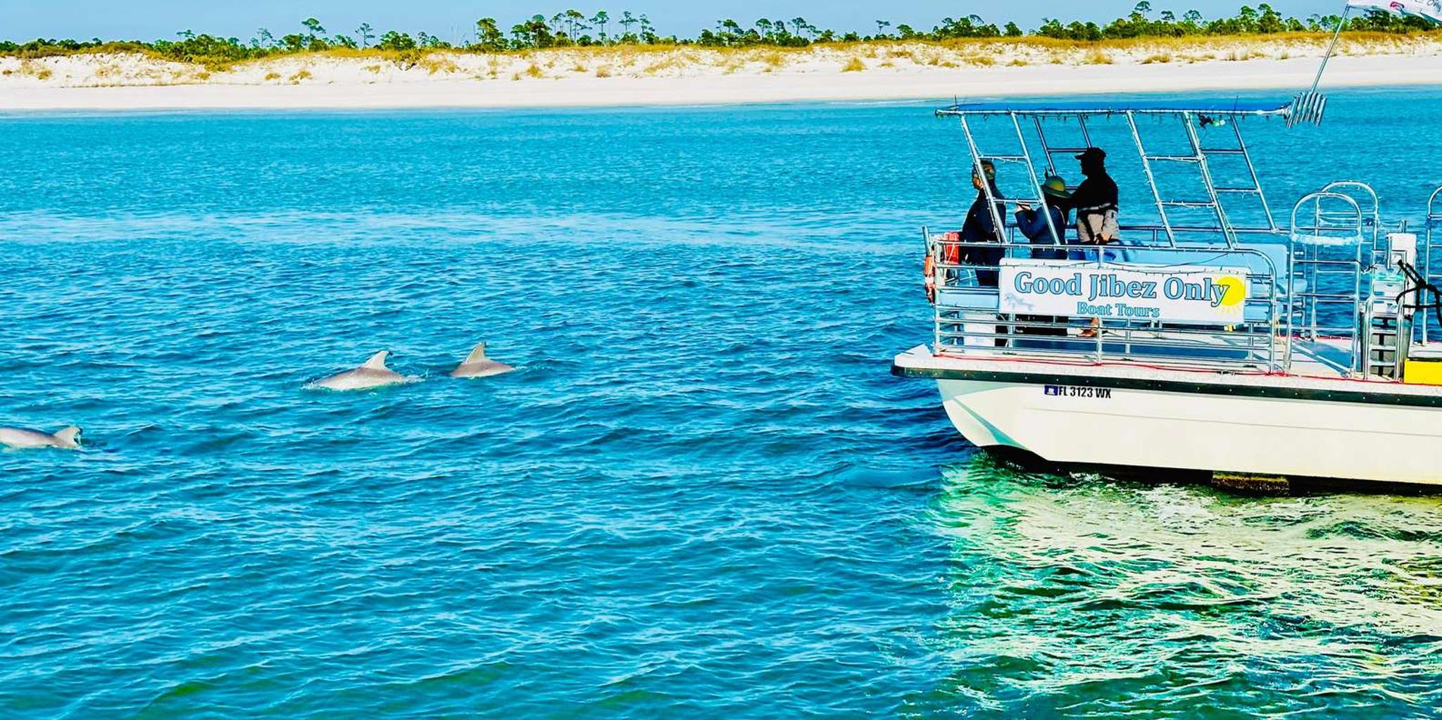 Panama City Beach Snorkel Excursion - Image 4