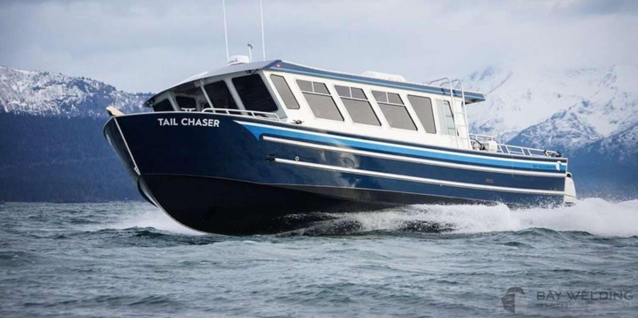 Hoonah Whale Watching Cruise - Image 2