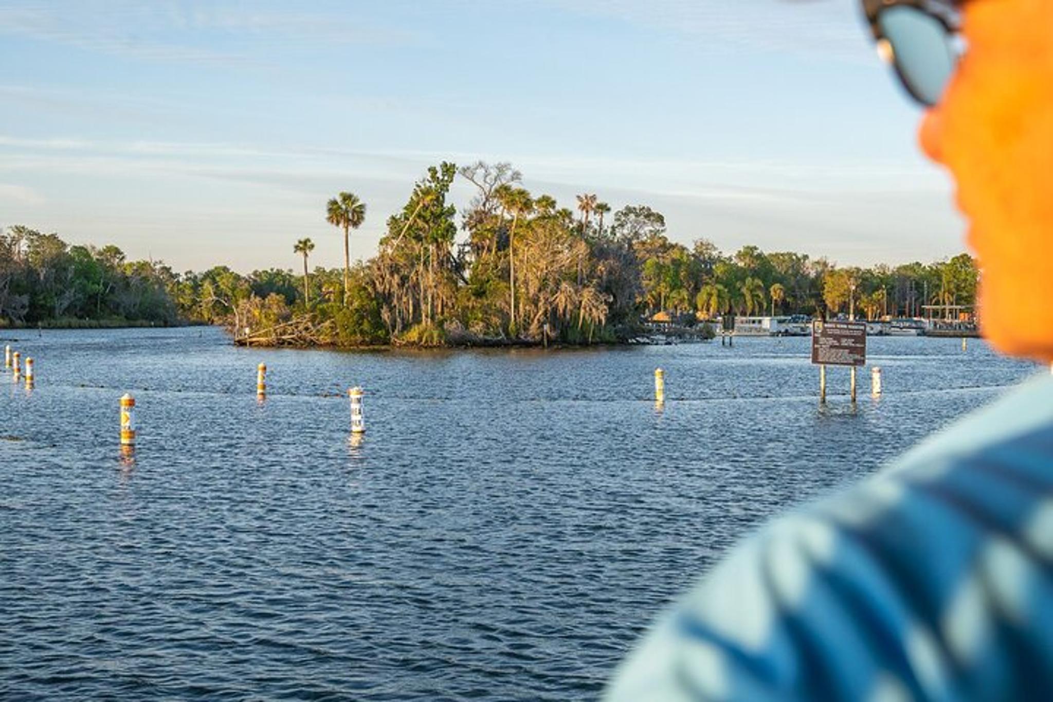Crystal River Eco Cruise - Image 4