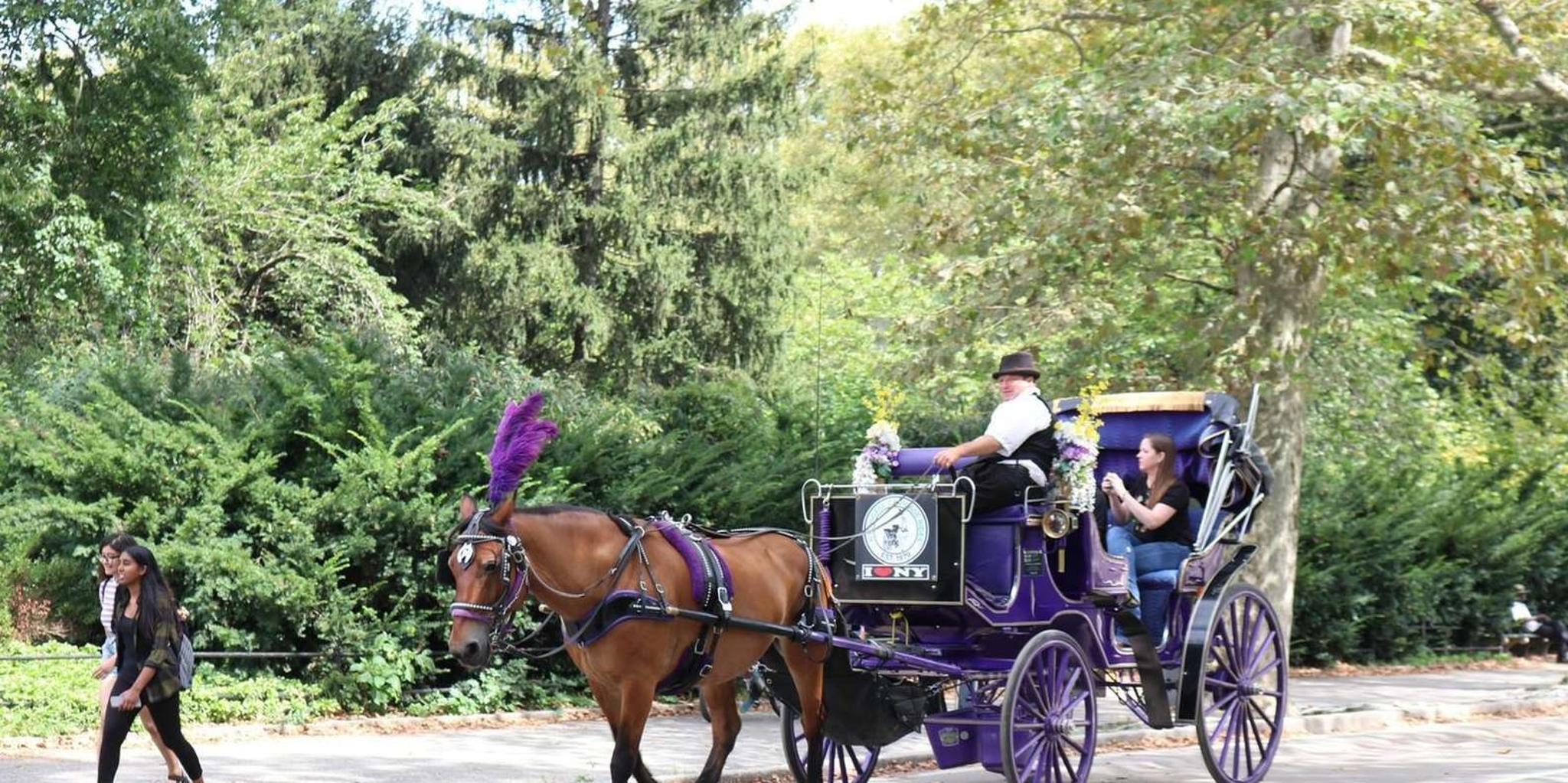 New York City Horse Carriage Ride in Central Park