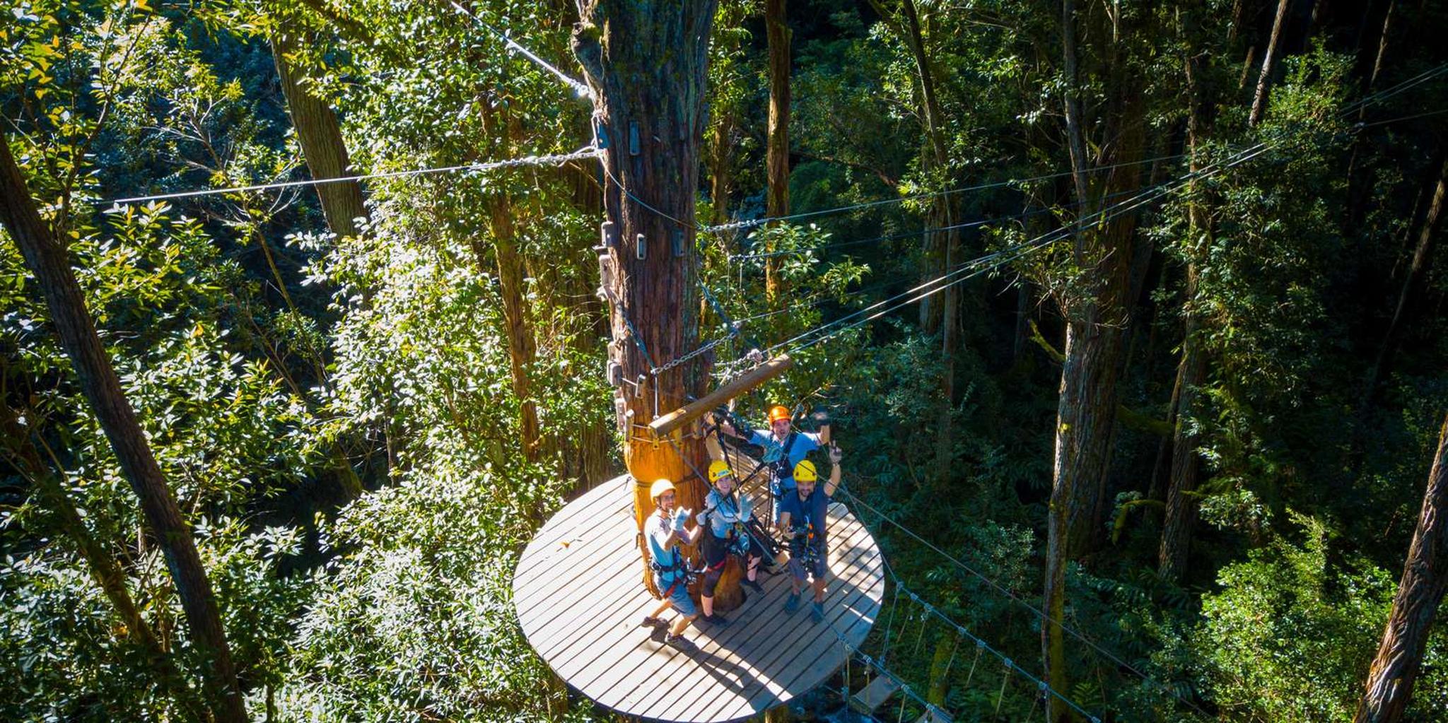 Kohala Canopy Zipline Adventure in Big Island - Image 3
