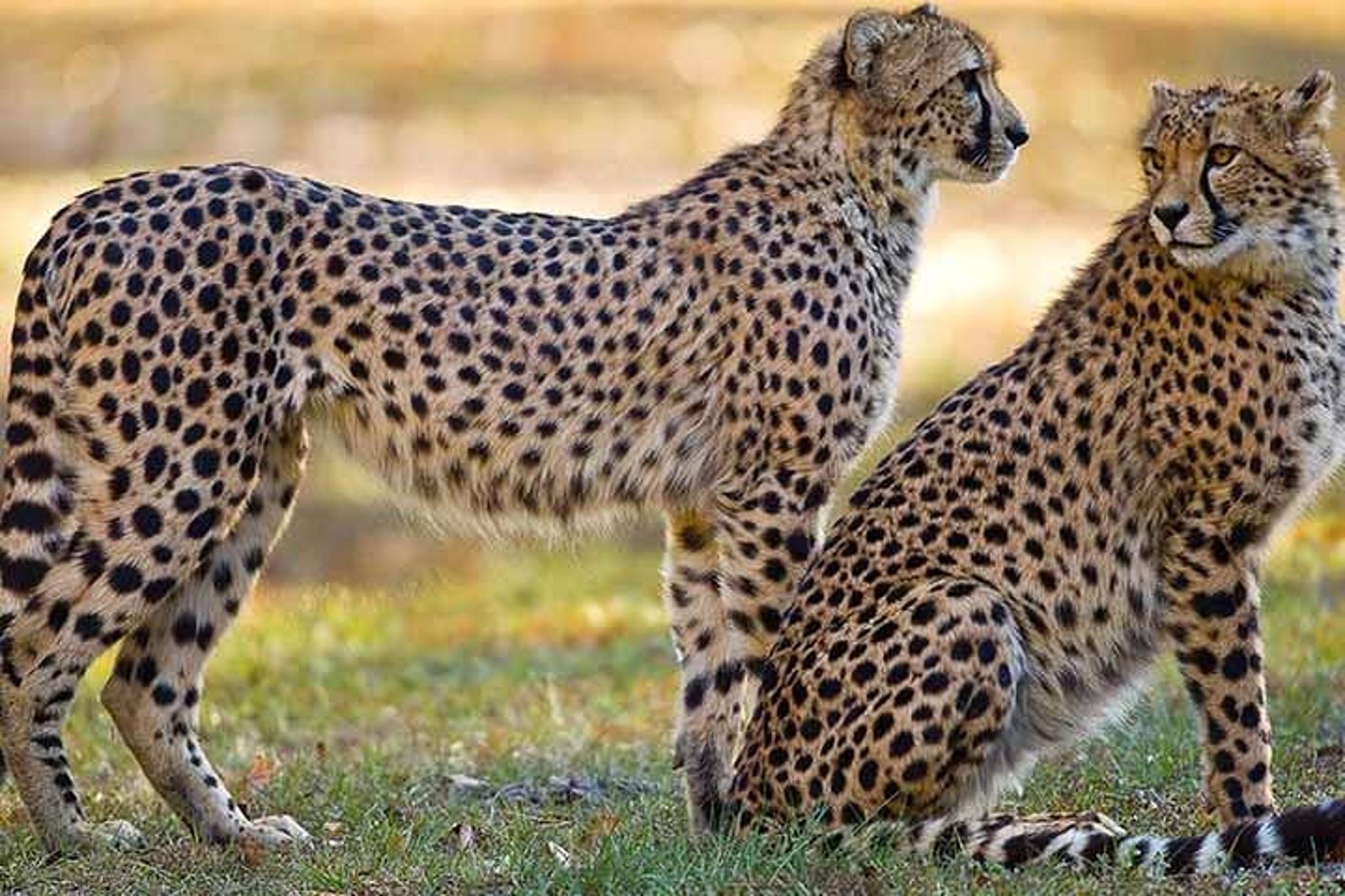 Tampa Bay CityPASS - Image 6