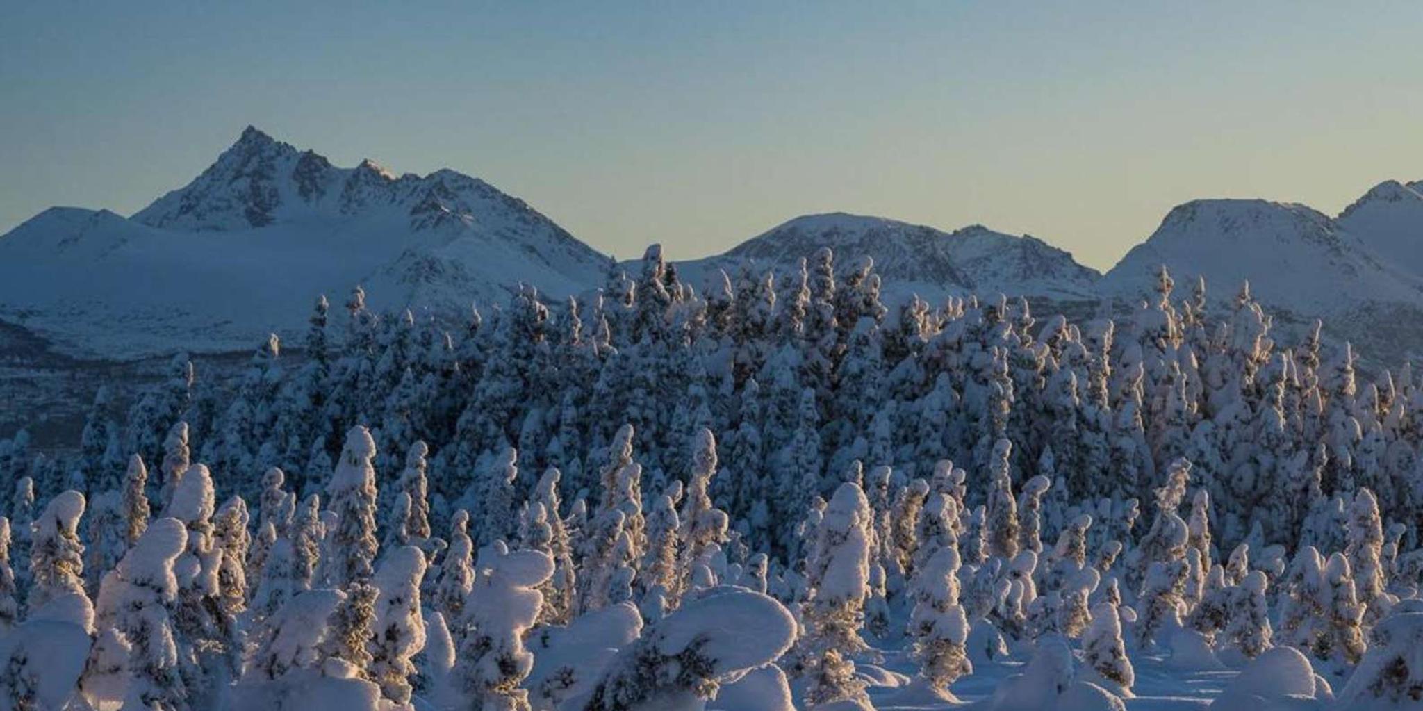 Anchorage Winter Wonderland Photo Tour 4 hr - Image 2