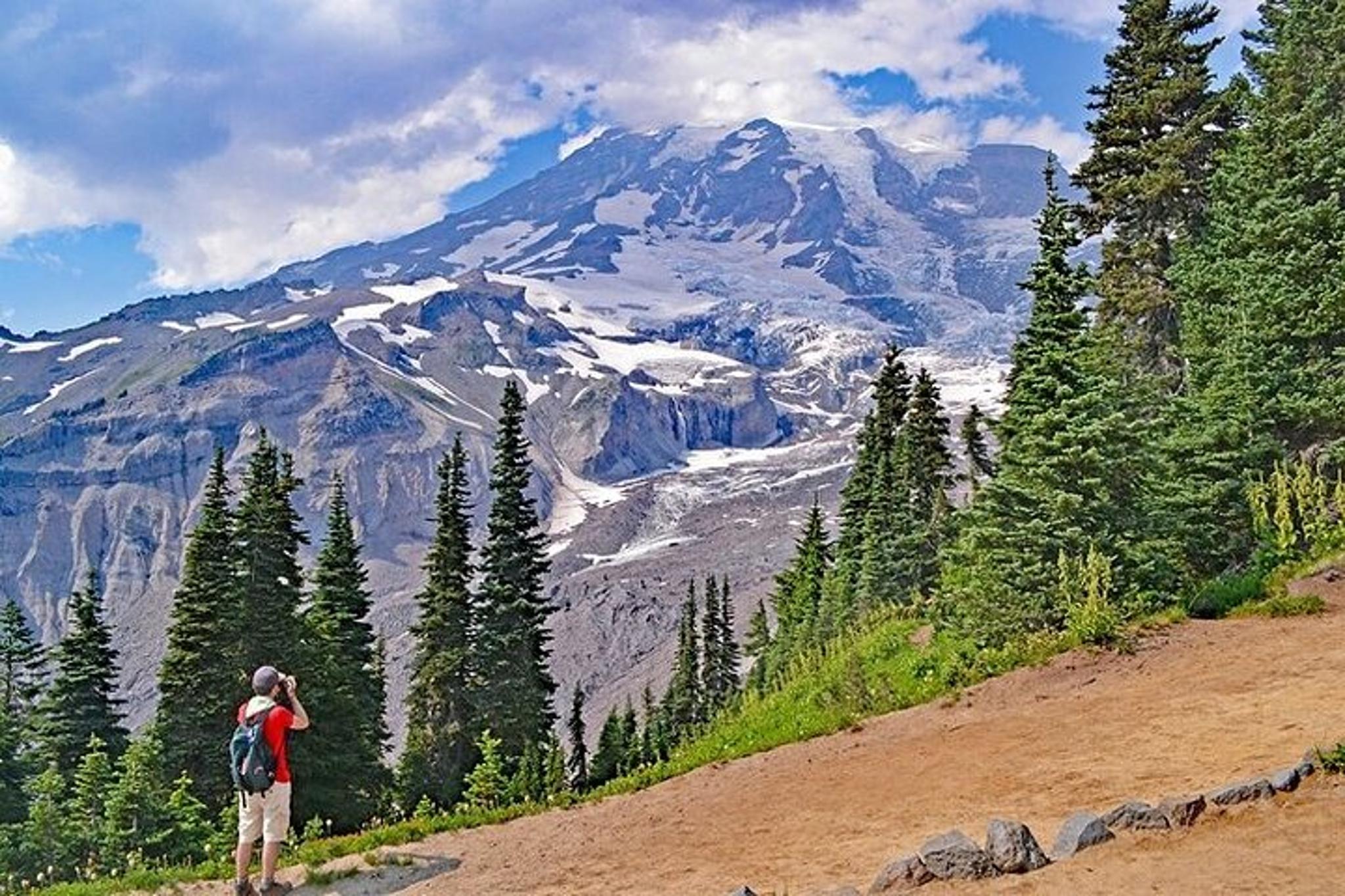 Seattle Mt Rainier National Park Private SUV Tour - Image 2