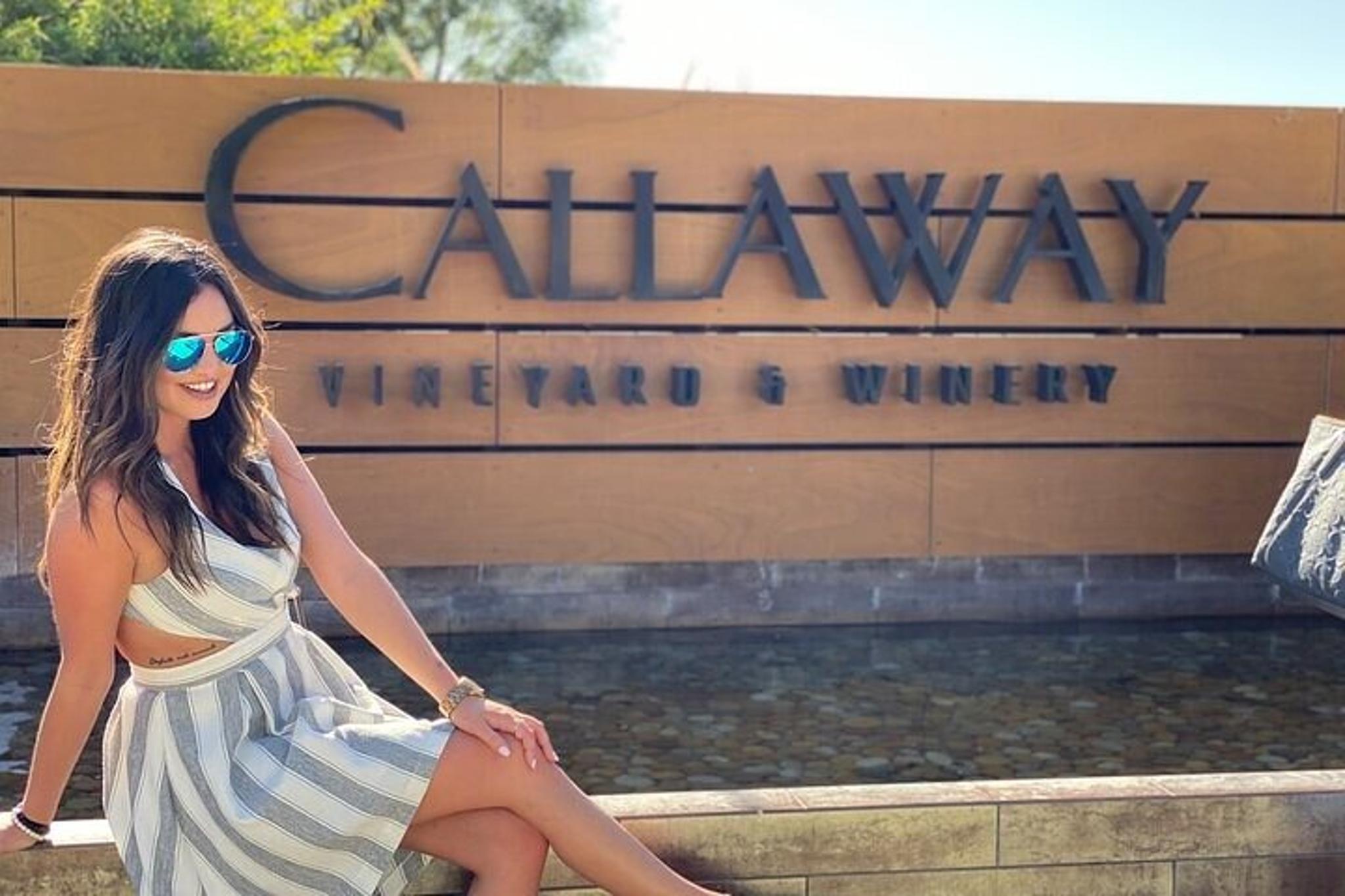 Temecula Wine Tour from Laguna Beach - Image 4