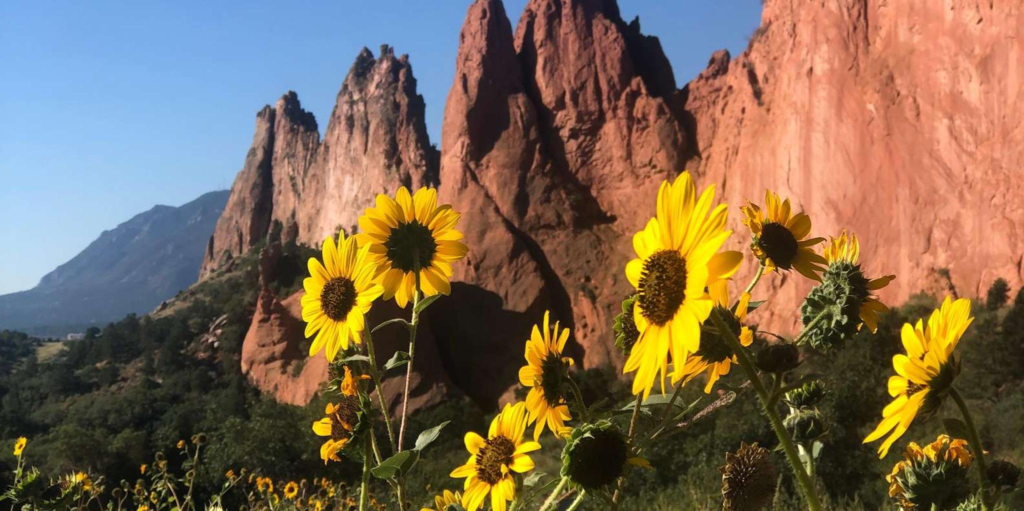 Colorado Springs Garden of the Gods Jeep Tour - Image 2