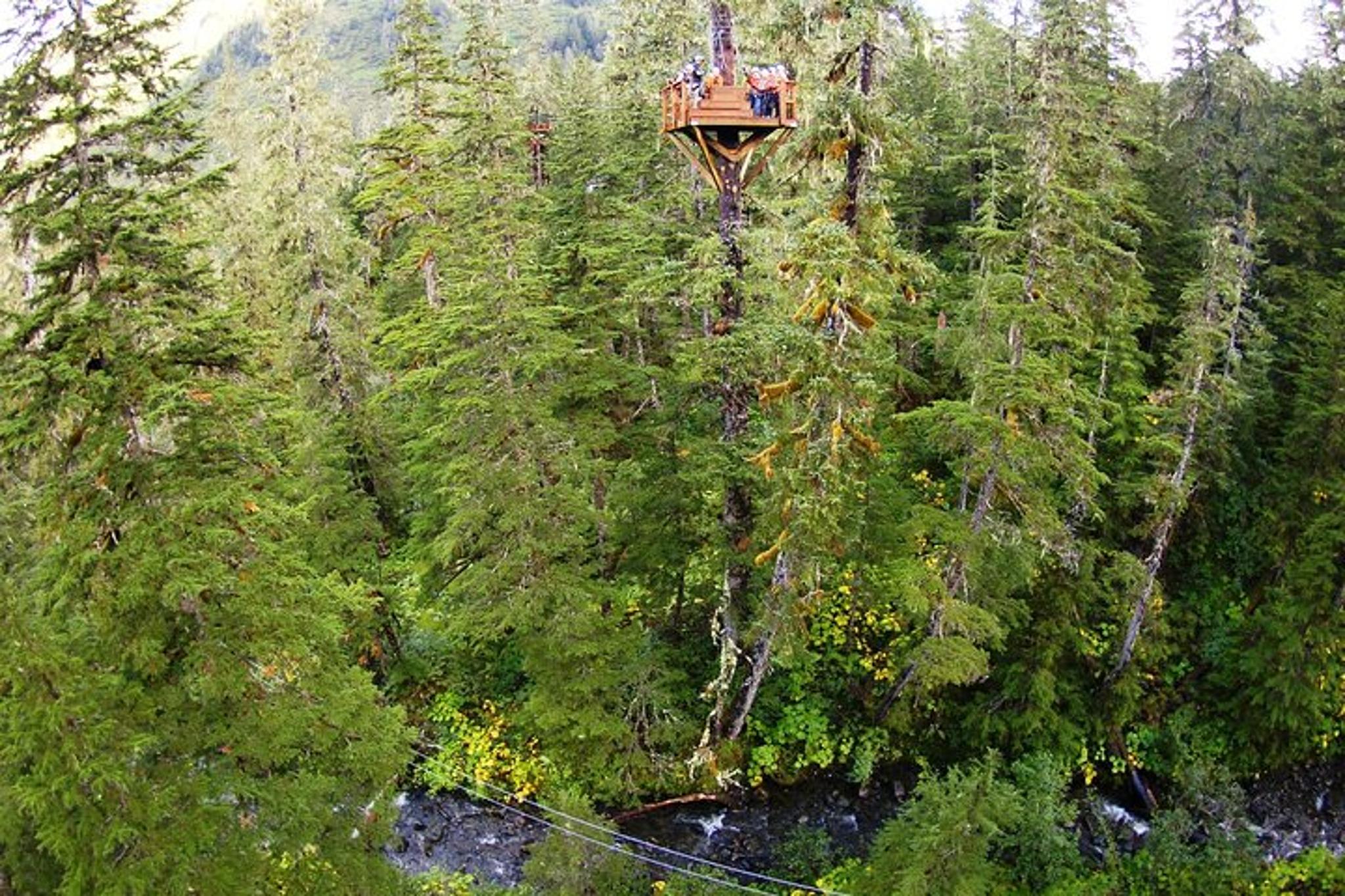 Juneau Zipline Adventure - Image 3