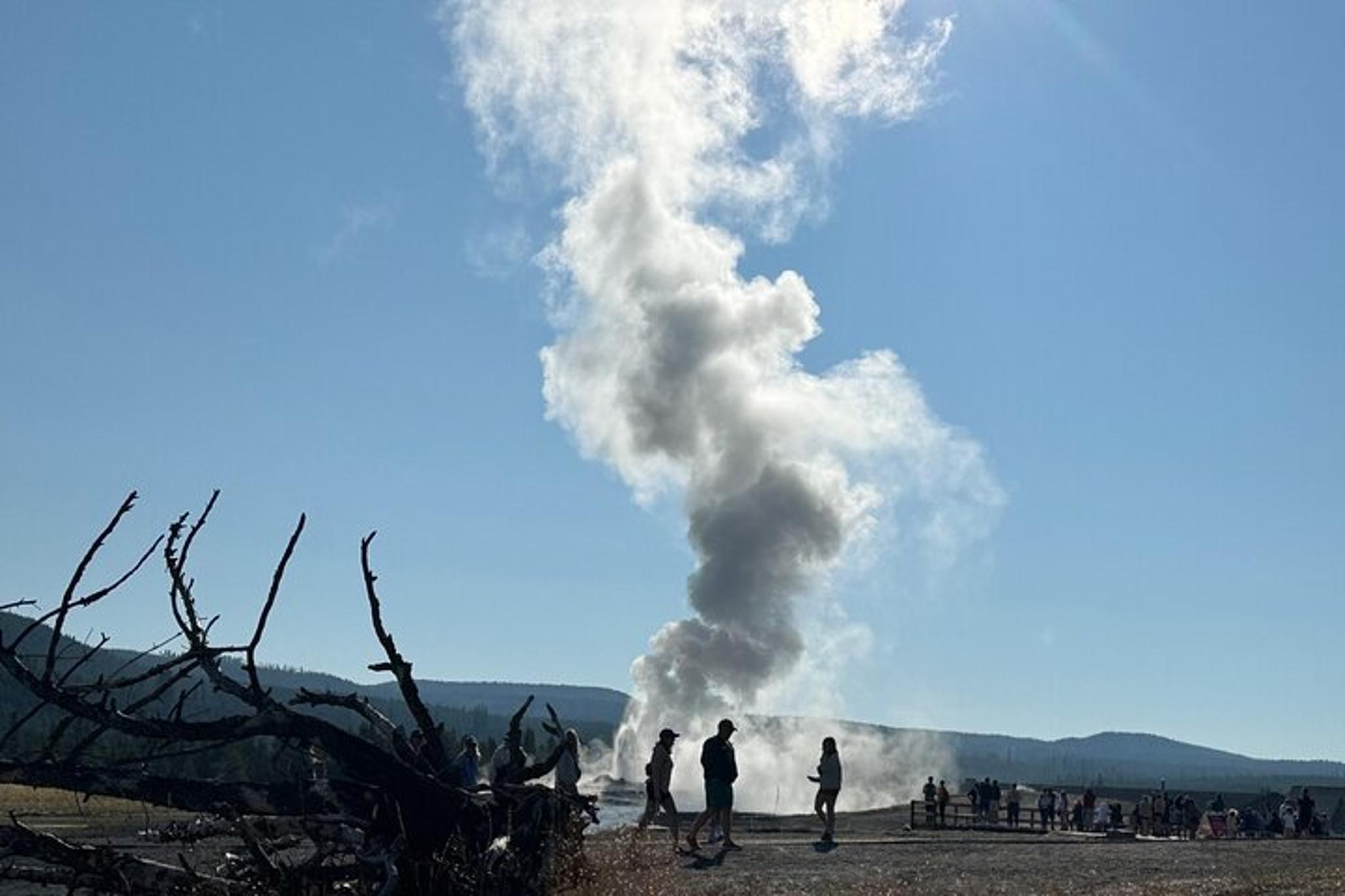 Cody Yellowstone Hot Spots Lower Loop Tour - Image 5