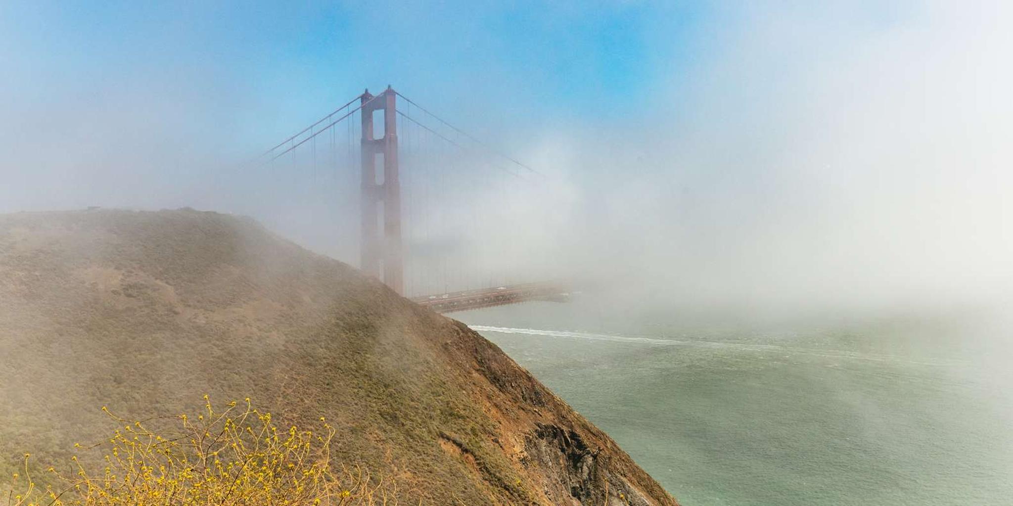 San Francisco Muir Woods and Sausalito Tour - Image 4