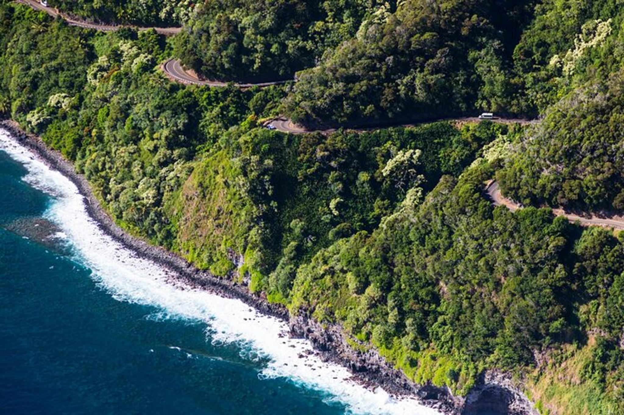 Hana Waterfalls and Black Sand Beach Tour - Image 6