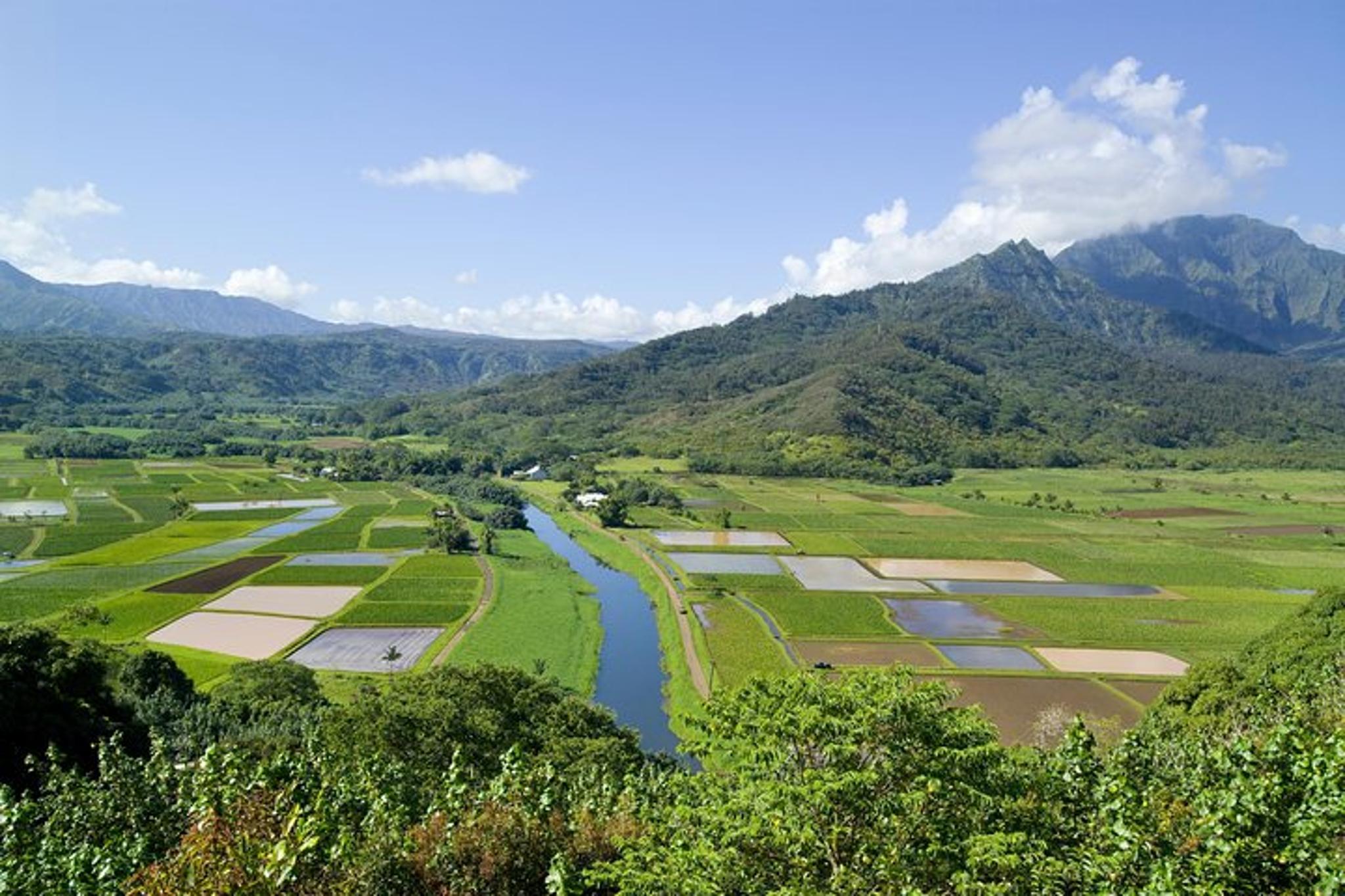 Kauai Movie Sites Tour
