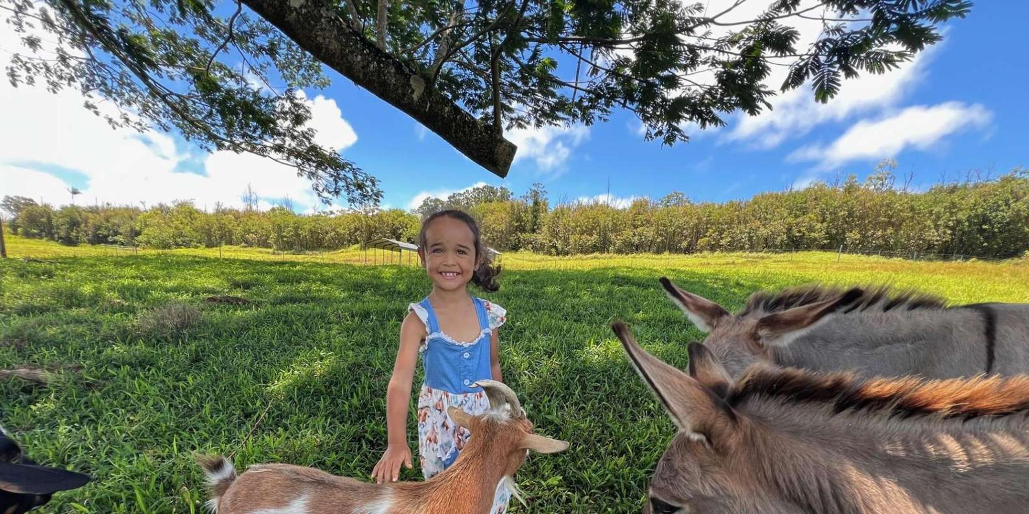 Pahoa Ranch Tour with Animal Interactions