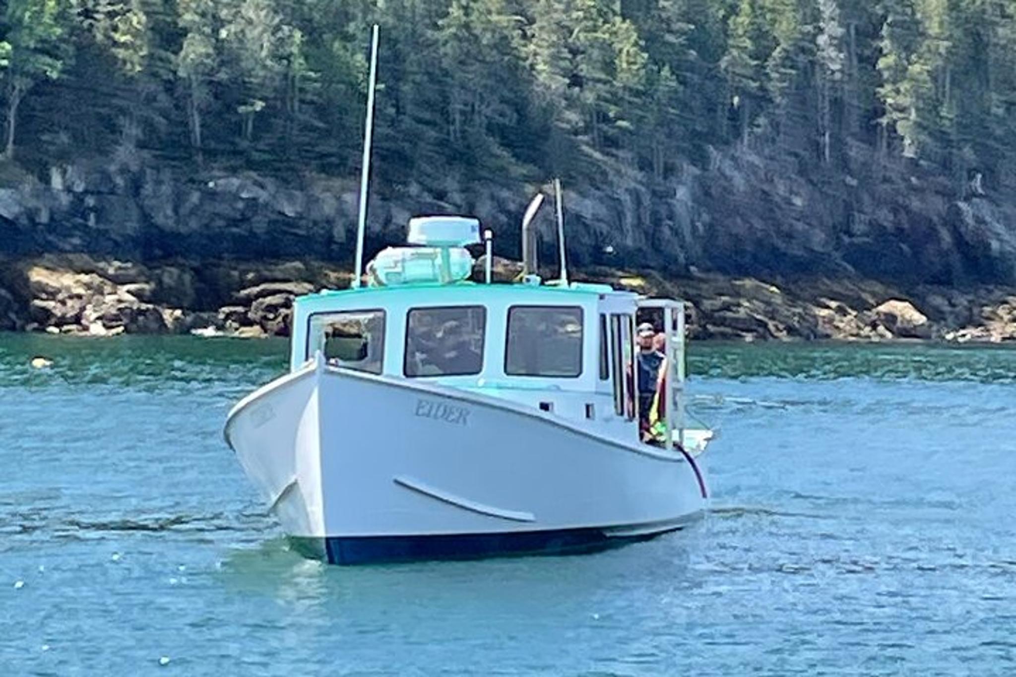 Bar Harbor Fishing Charter in Frenchman Bay - Image 6