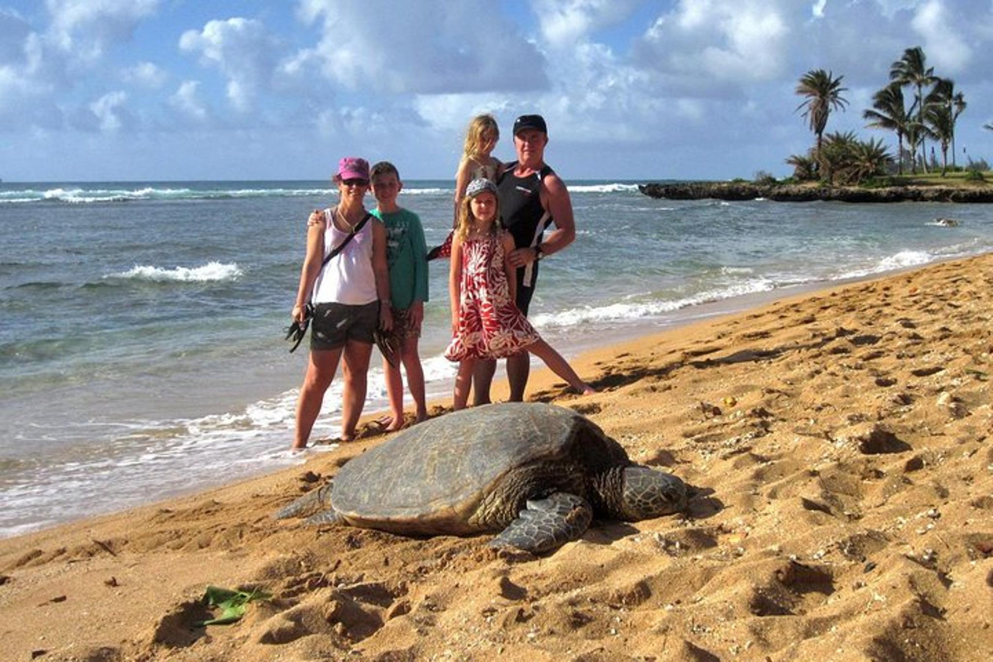 Oahu Private Island Tour - Image 5