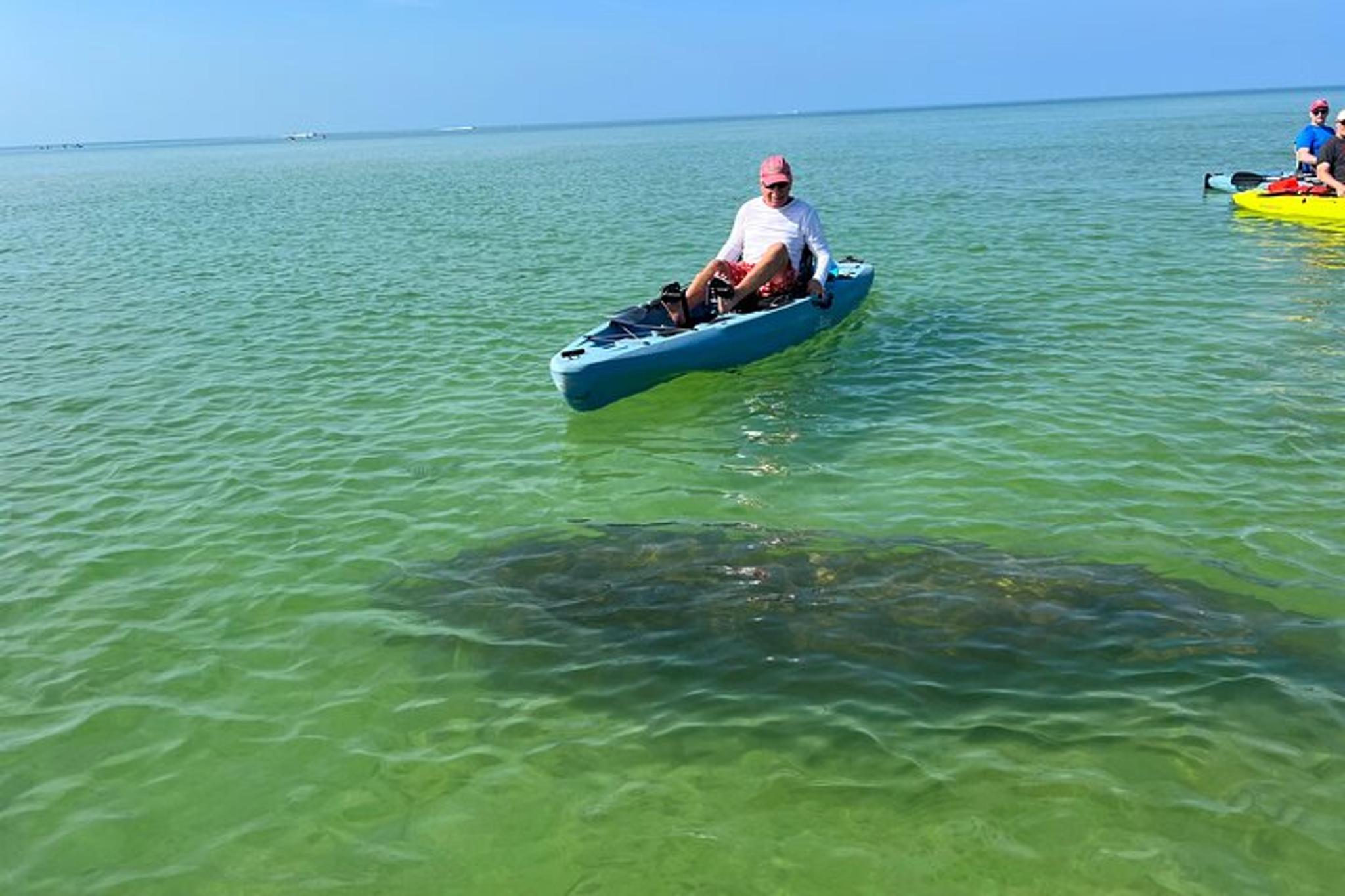Bonita Springs Kayak EcoTour - Image 5