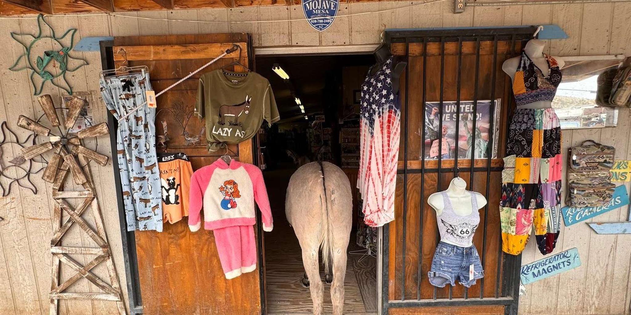 Las Vegas Route 66 Day Tour: Oatman & Kingman - Image 5