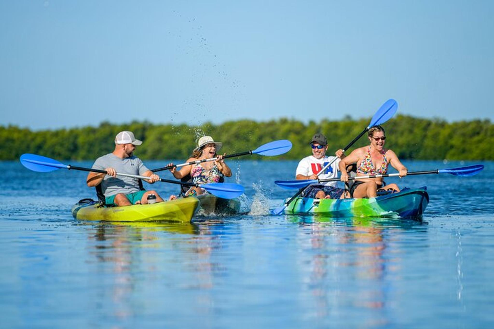 Tierra Verde Kayak Tour in Mangrove Preserve - Image 2