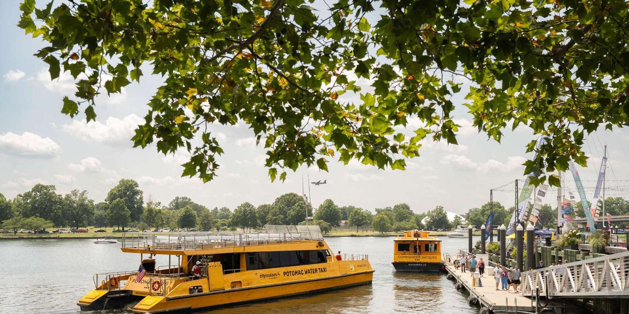 Washington Potomac River Cruise & Georgetown Walking Tour - Image 2