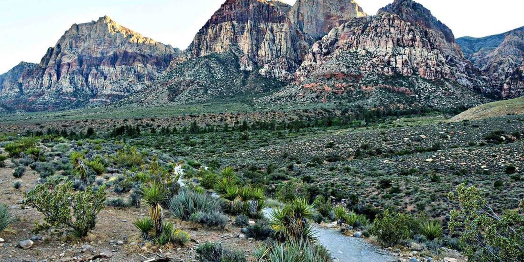 Las Vegas Red Rock Canyon and Seven Magic Mountains Tour 4 hr - Image 5