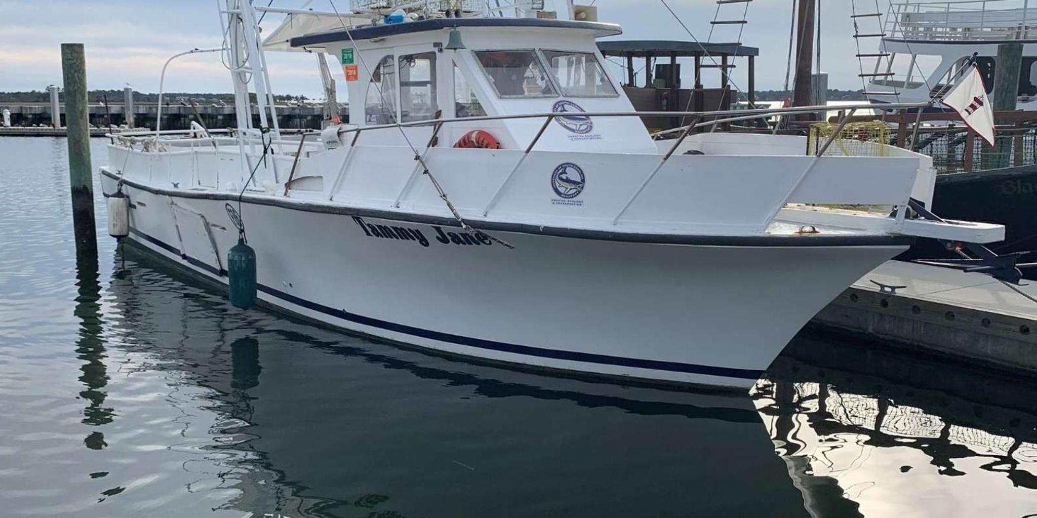 Hilton Head Island Dolphin and Crabbing Boat Tour - Image 6