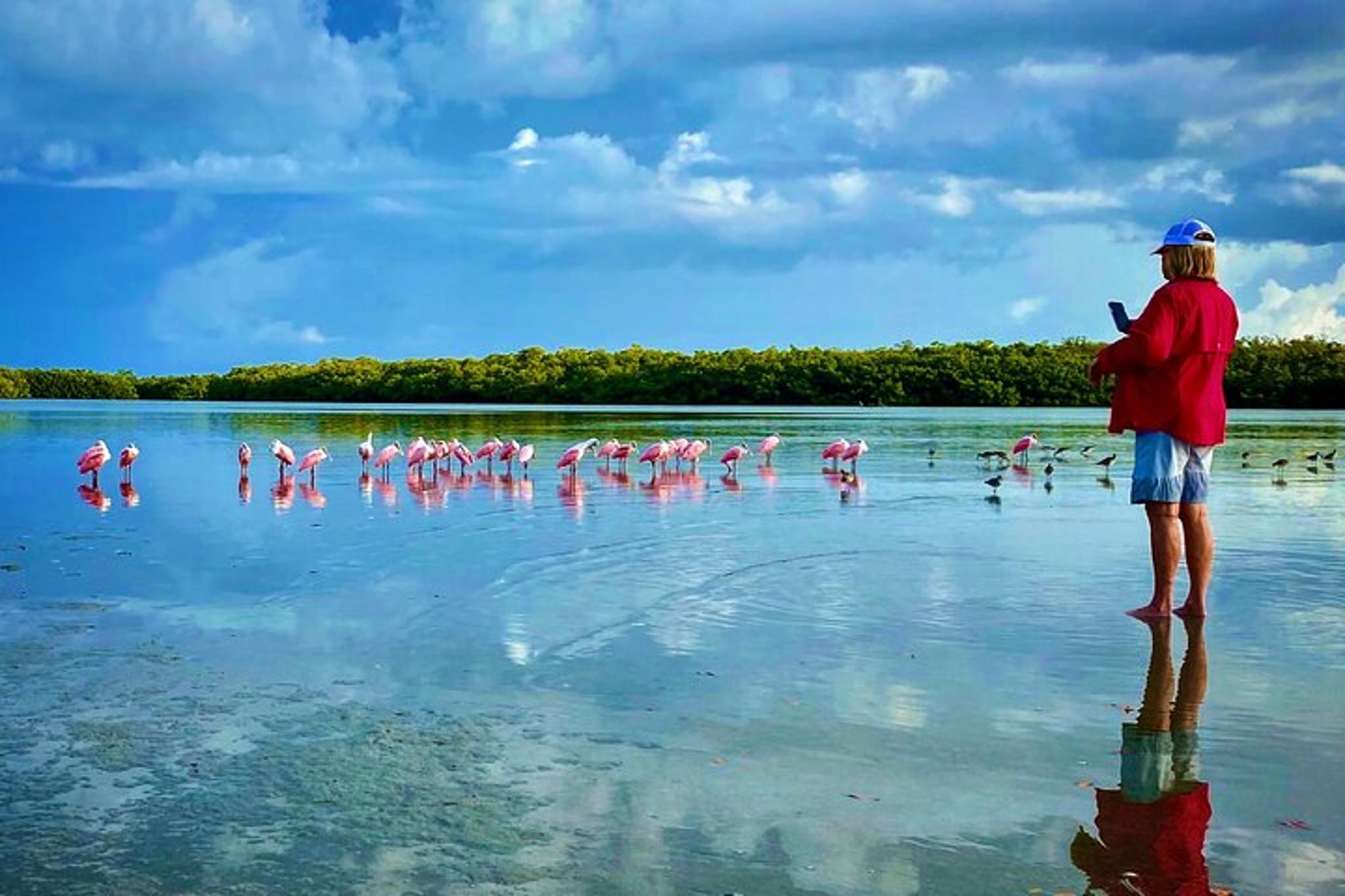 Ten Thousand Islands Eco Dolphin Tour - Image 3