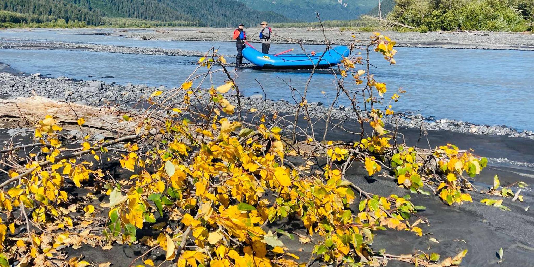 Seward Resurrection River Rafting Tour - Image 3