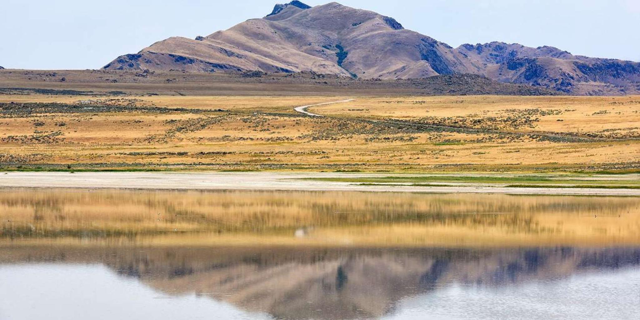 Antelope Island Wildlife Expedition - Image 2