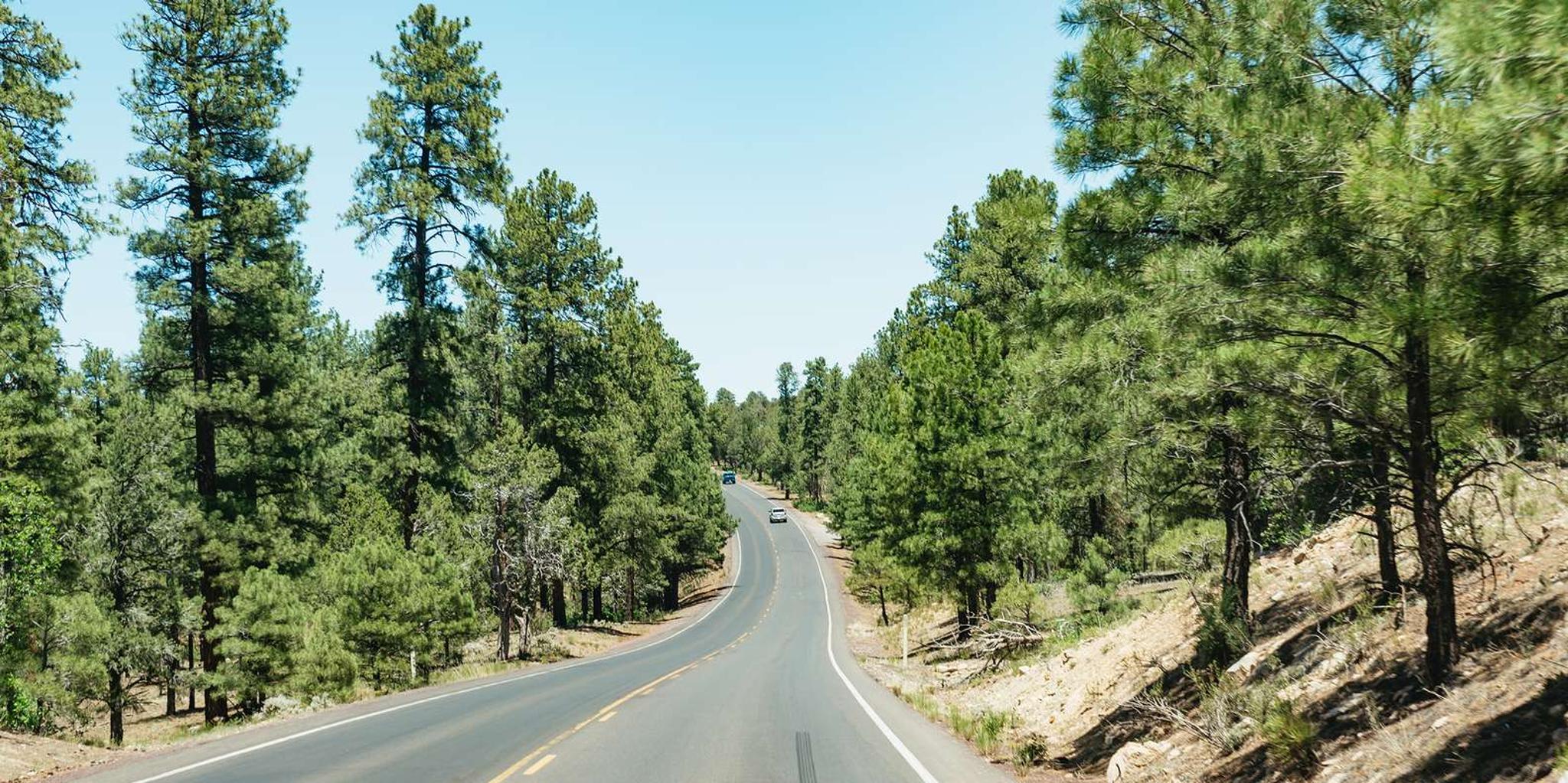 Las Vegas Grand Canyon South Rim Tour - Image 6