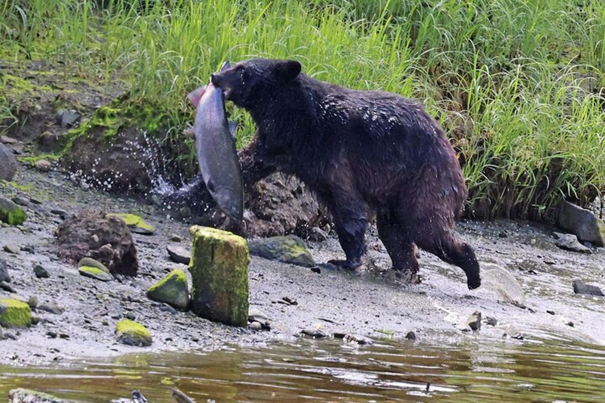 Ketchikan Private Custom Excursion - Image 1