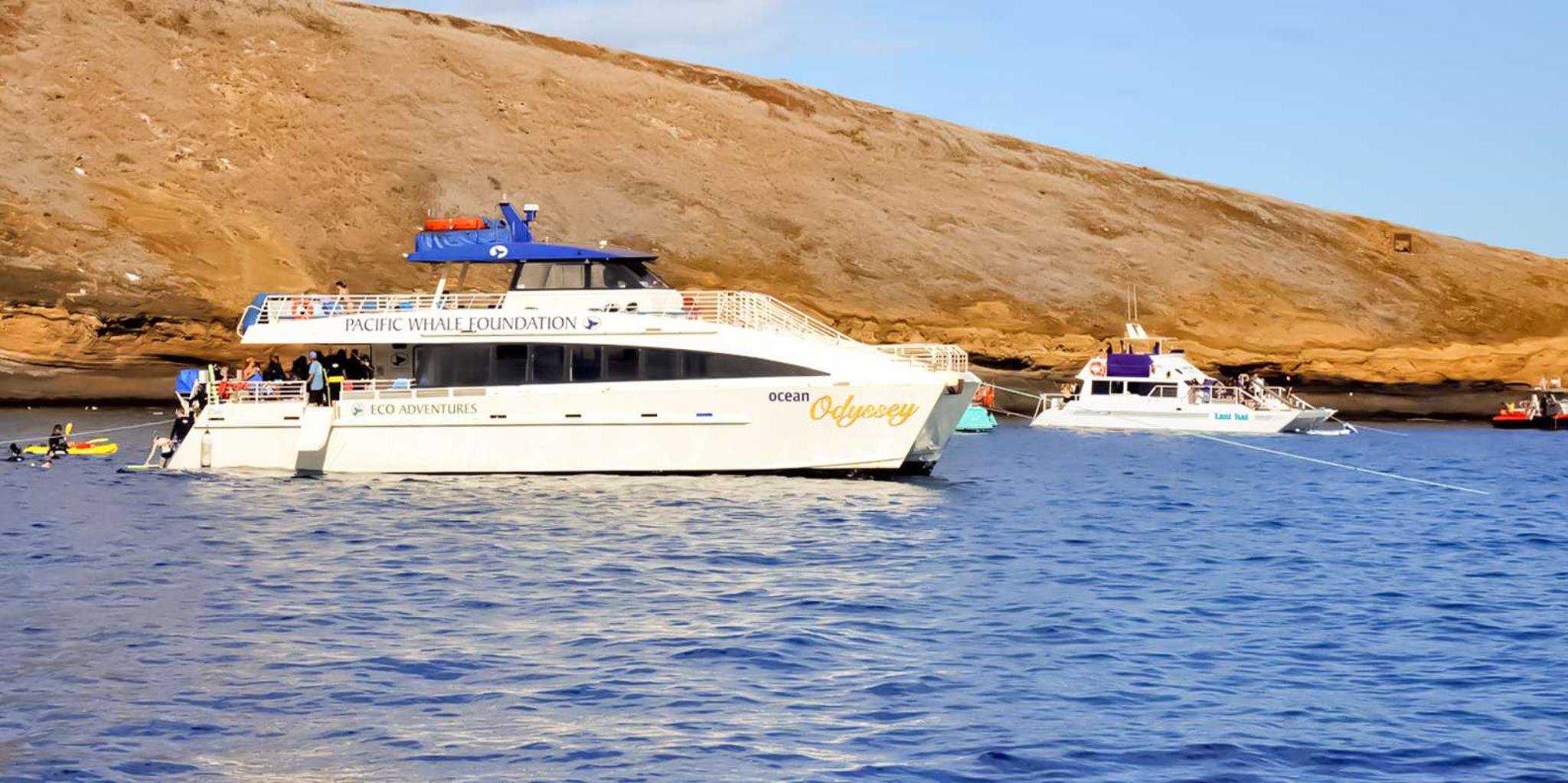 Maui Molokini & Turtle Town Snorkel Tour 5 hr - Image 3